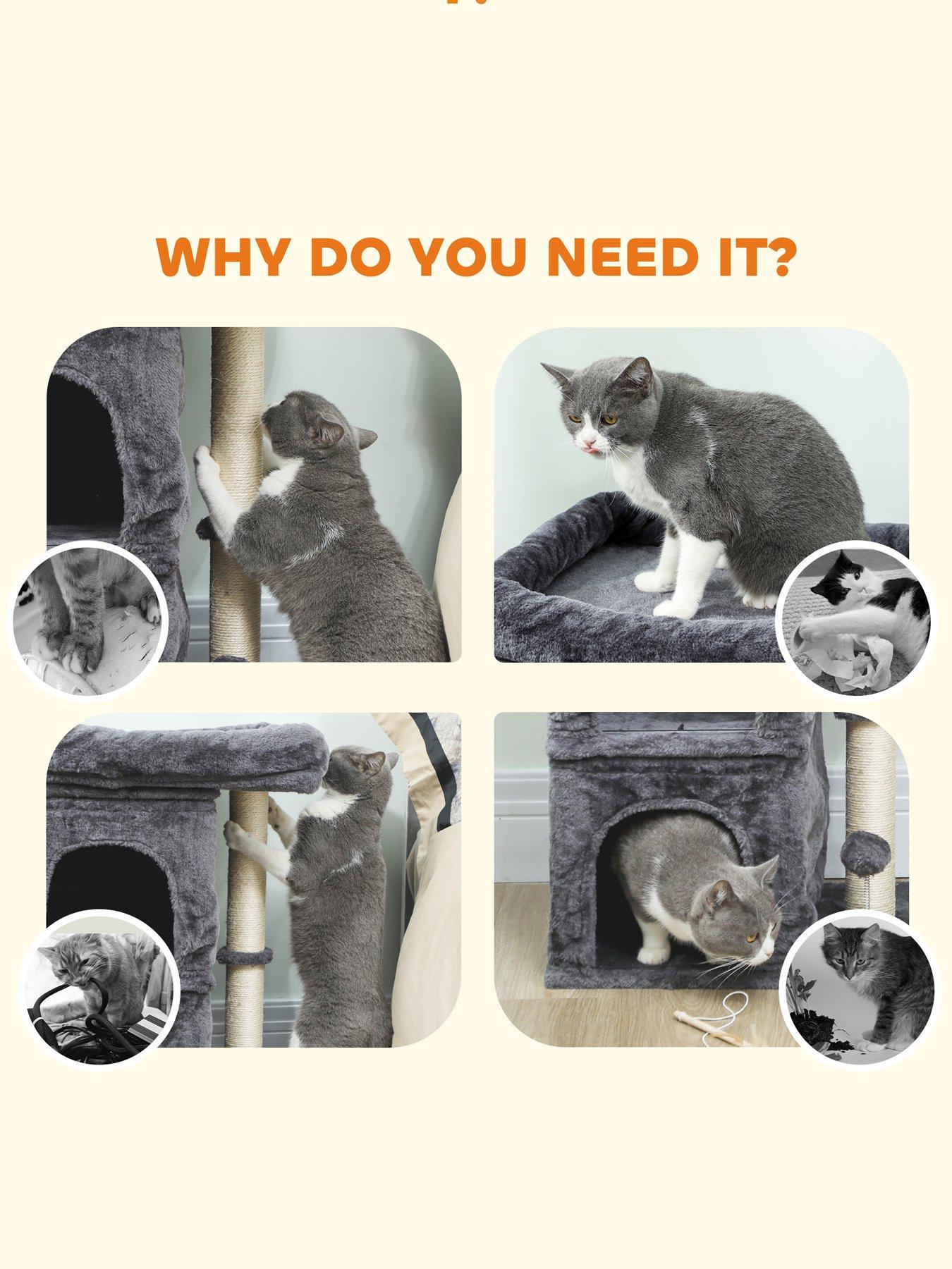 Image 6 of 6 of PawHut Small Cat Tree for Large Adult Cats Up to 7 KG with Large Perch 66 cm