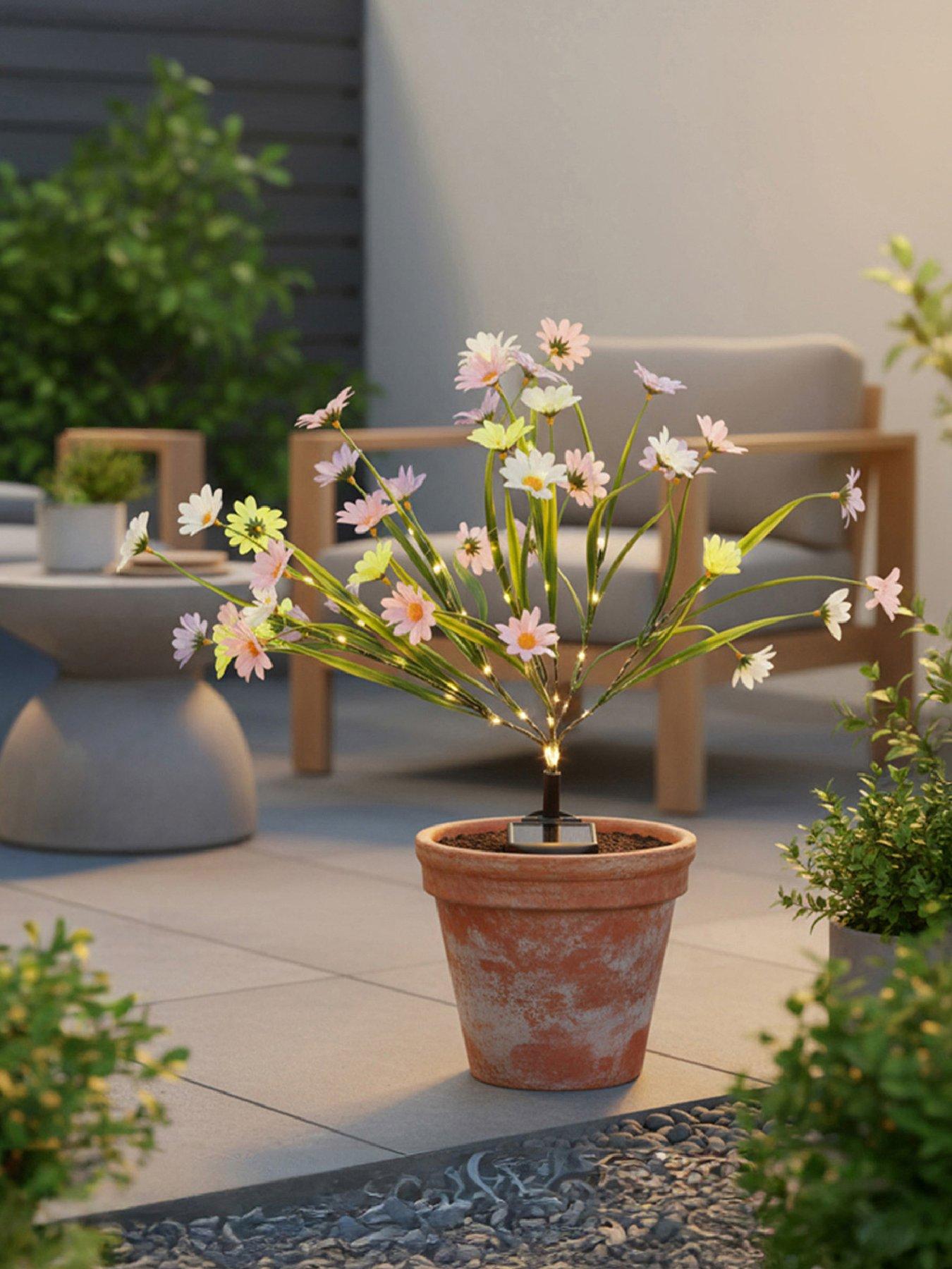 Image 1 of 7 of Streetwize Solar  Wild Chrysanthemum Flowers Lights