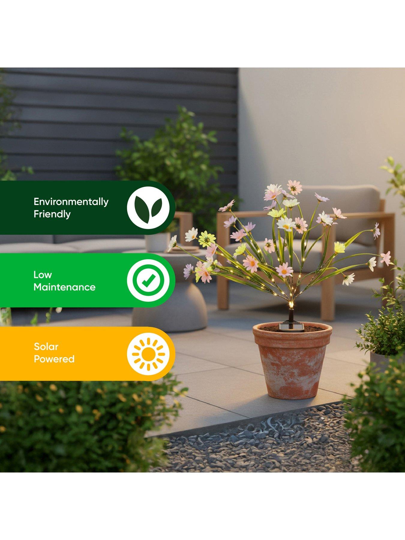 Image 7 of 7 of Streetwize Solar  Wild Chrysanthemum Flowers Lights