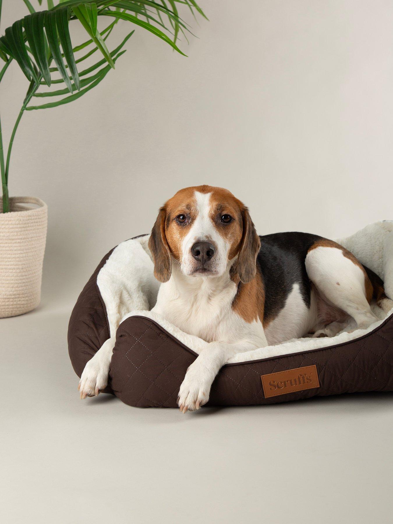 Image 1 of 6 of Scruffs Wilton Box Bed