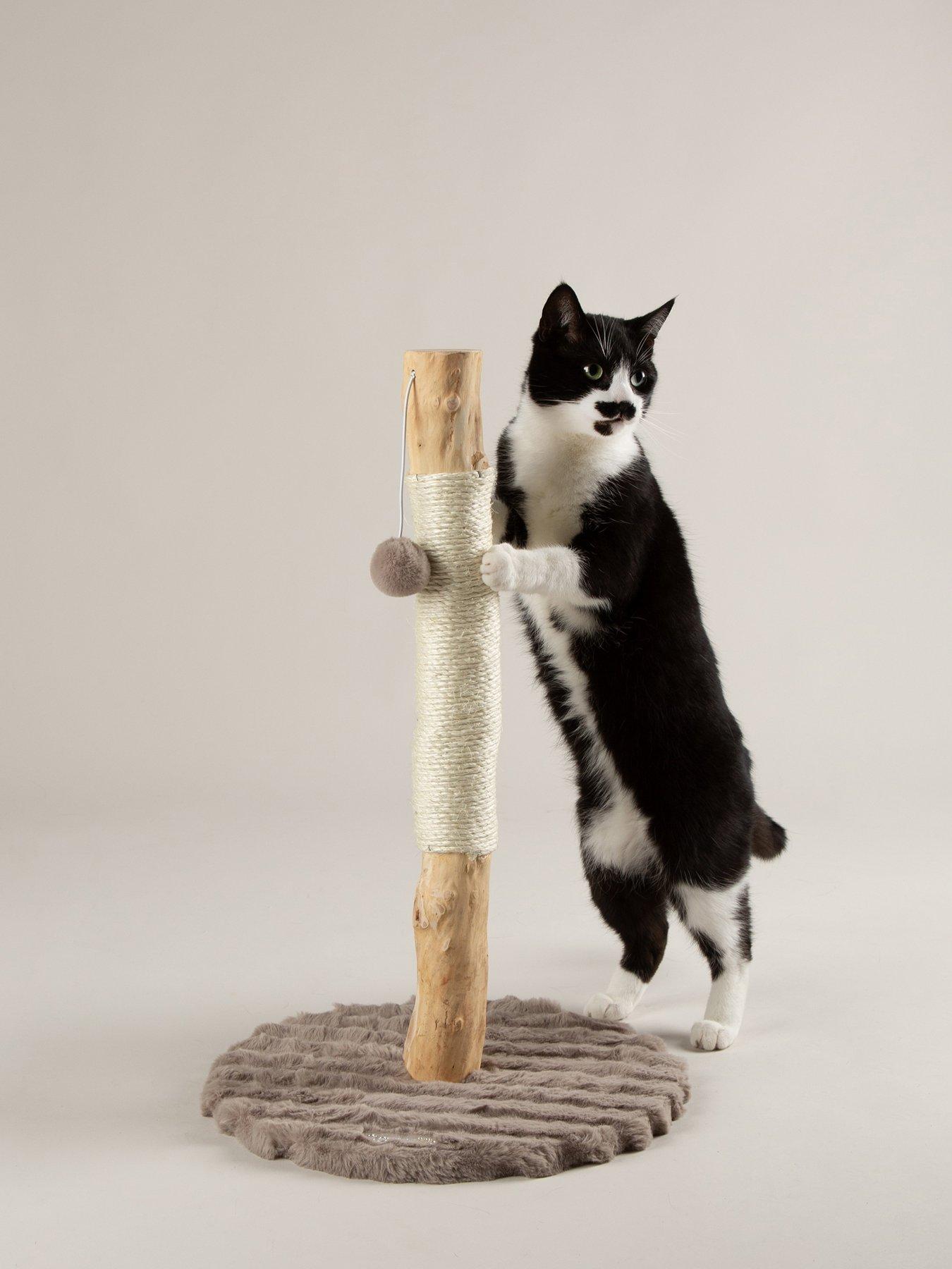 scruffs-rockies-cat-scratching-tree