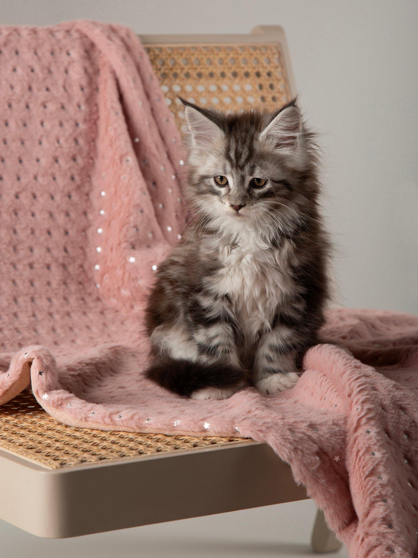 Scruffs My First Bed - Starlight Puppy  &  Kitten Calming Blanket