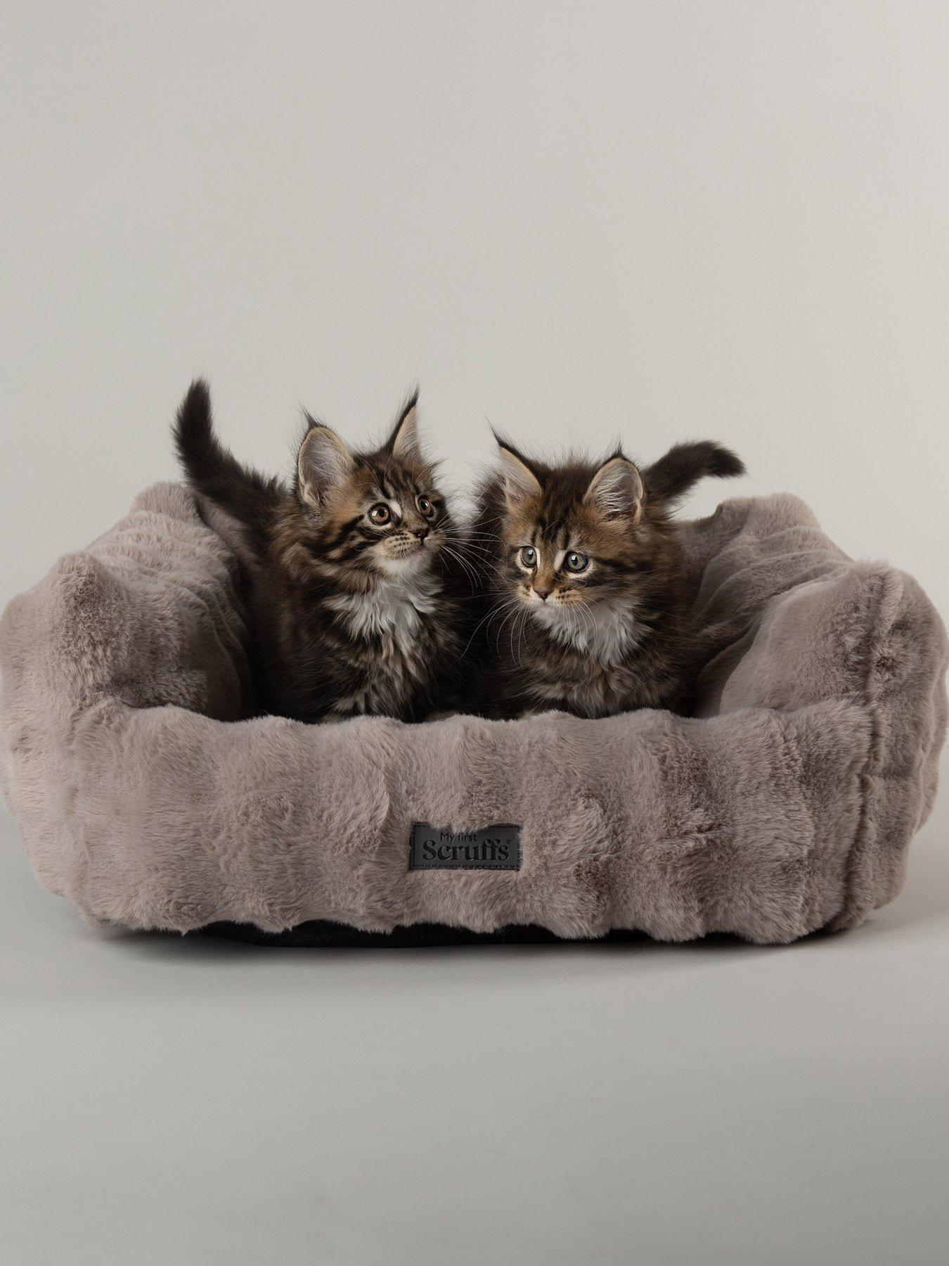 Scruffs My First Bed - Cloud Puppy  &  Kitten Calming Box Bed