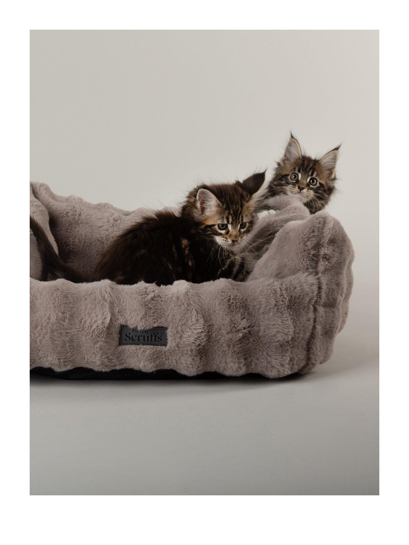 Image 2 of 7 of Scruffs My First Bed - Cloud Puppy & Kitten Calming Box Bed