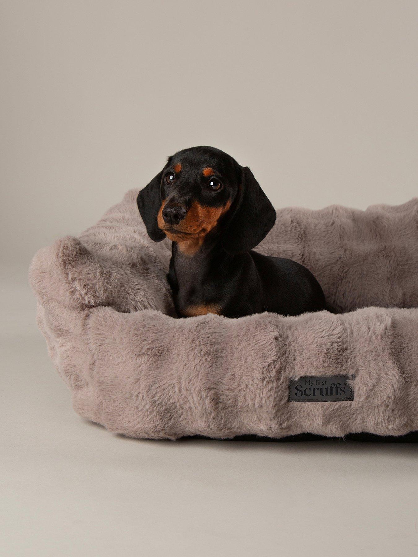 Image 3 of 7 of Scruffs My First Bed - Cloud Puppy & Kitten Calming Box Bed