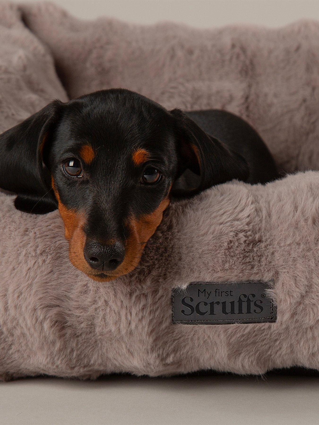 Image 4 of 7 of Scruffs My First Bed - Cloud Puppy & Kitten Calming Box Bed