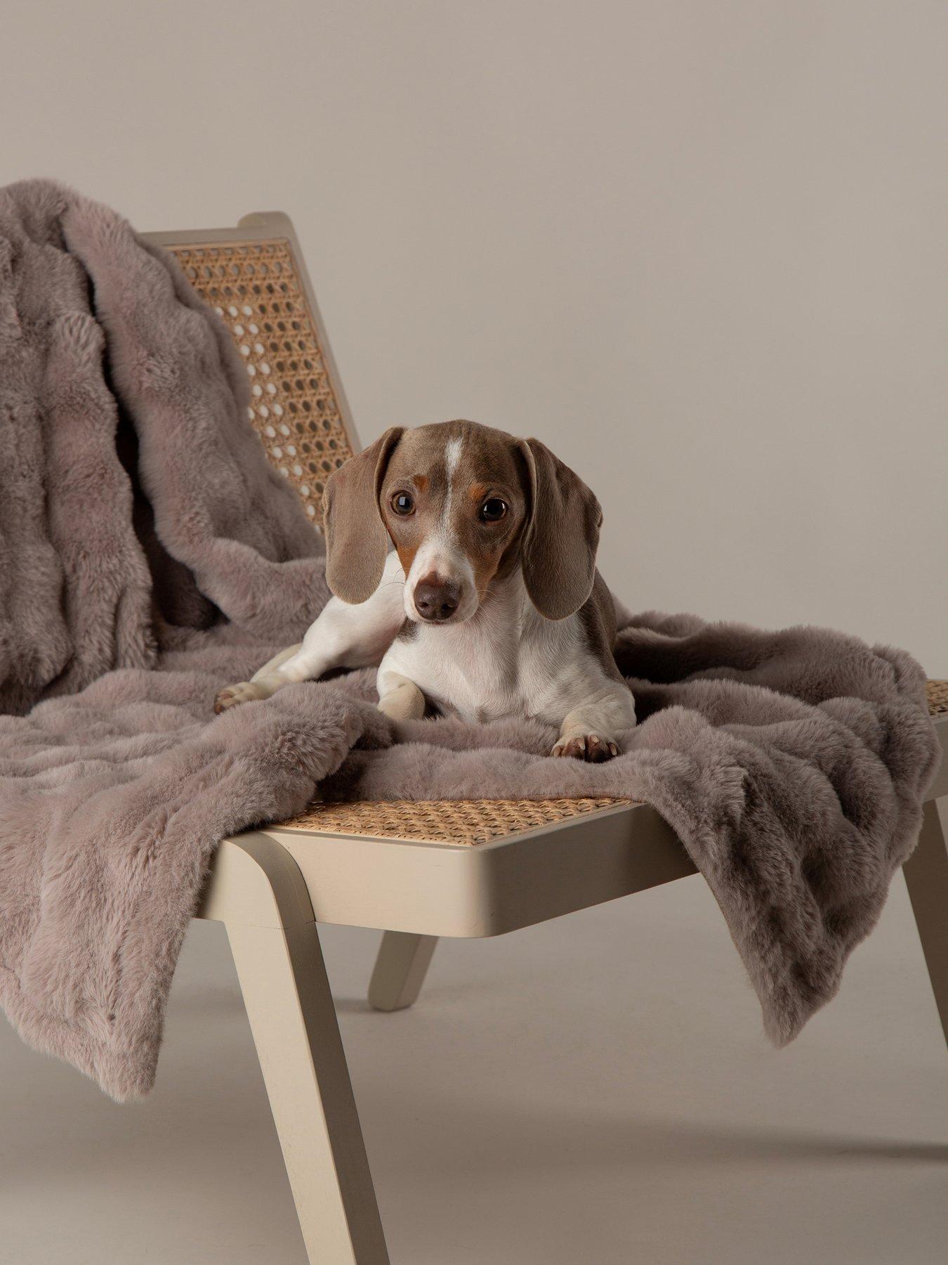 Image 1 of 7 of Scruffs My First Bed - Cloud Puppy &amp; Kitten Calming Blanket
