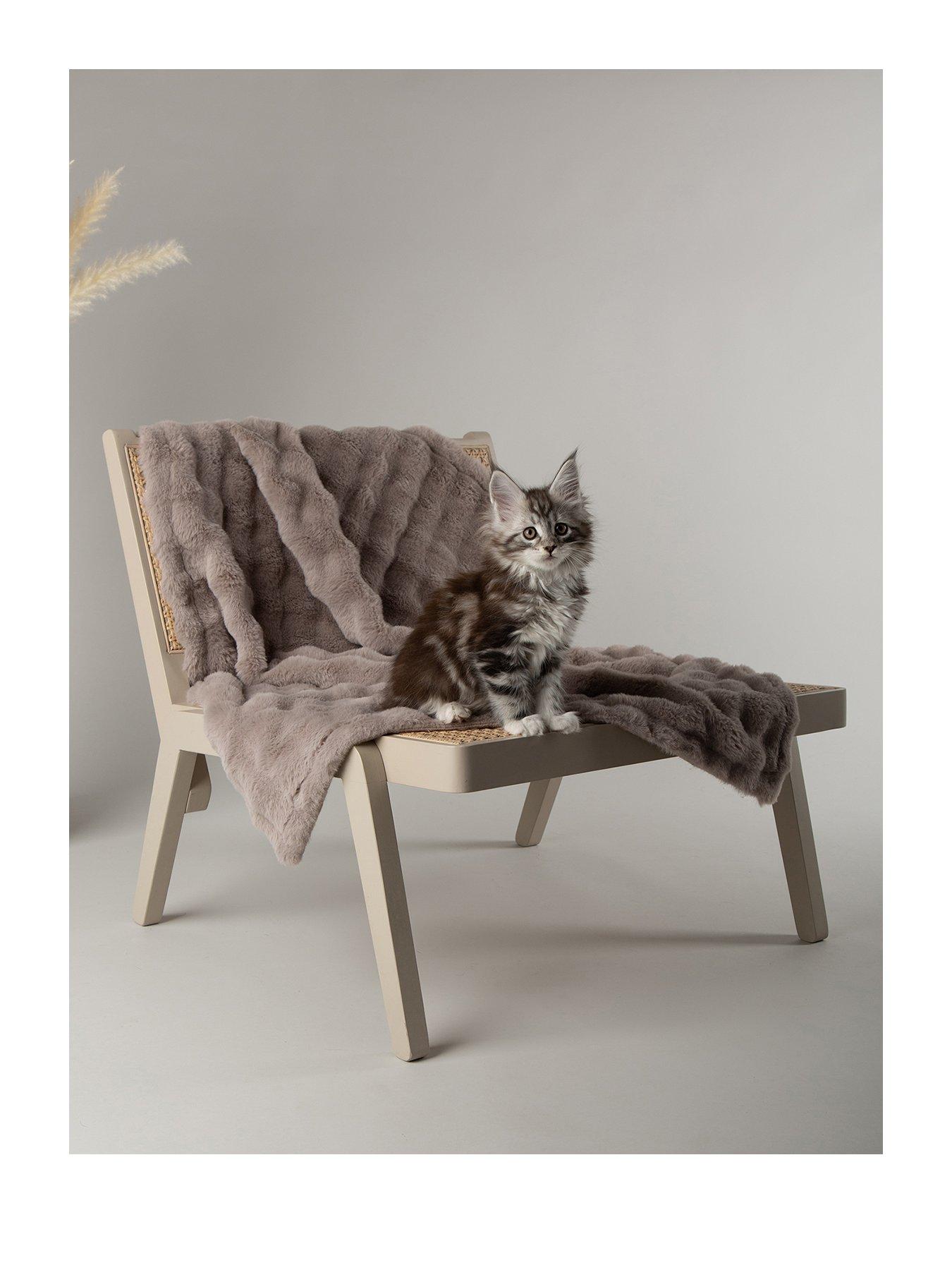 Image 2 of 7 of Scruffs My First Bed - Cloud Puppy &amp; Kitten Calming Blanket