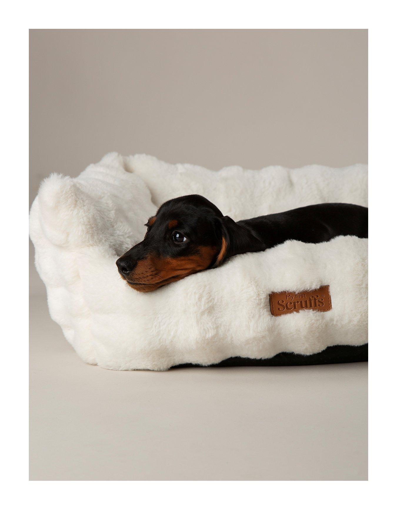  image of scruffs-my-first-bed-cloud-puppy-kitten-calming-box-bed