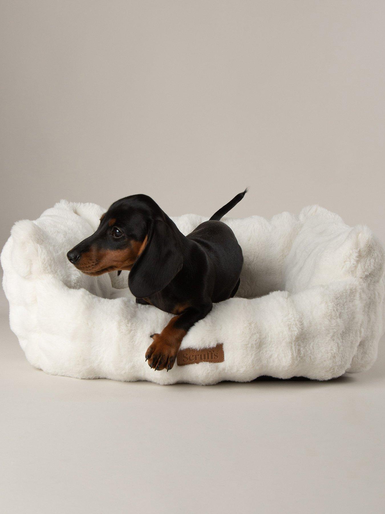  image of scruffs-my-first-bed-cloud-puppy-kitten-calming-box-bed