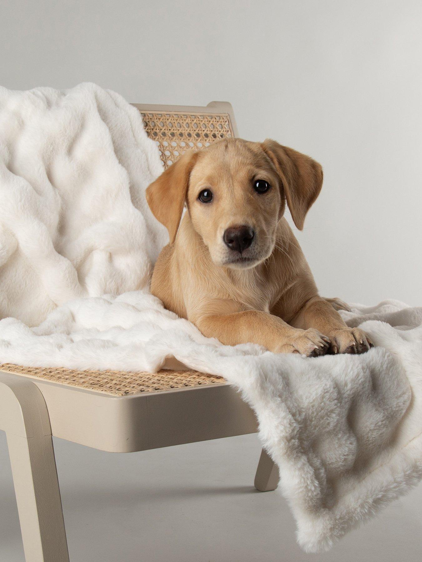 Scruffs My First Bed - Cloud Puppy  &  Kitten Calming Blanket