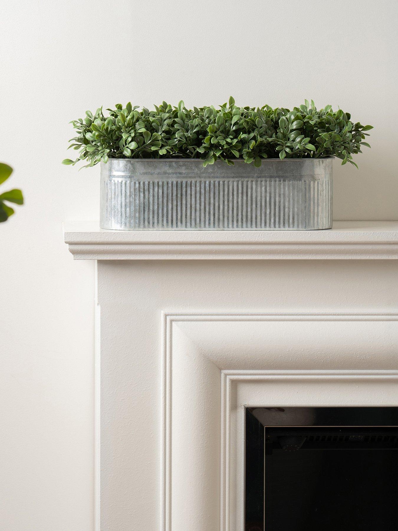 Scottish Everlastings 51X23Cm Boxwood Trough Uv