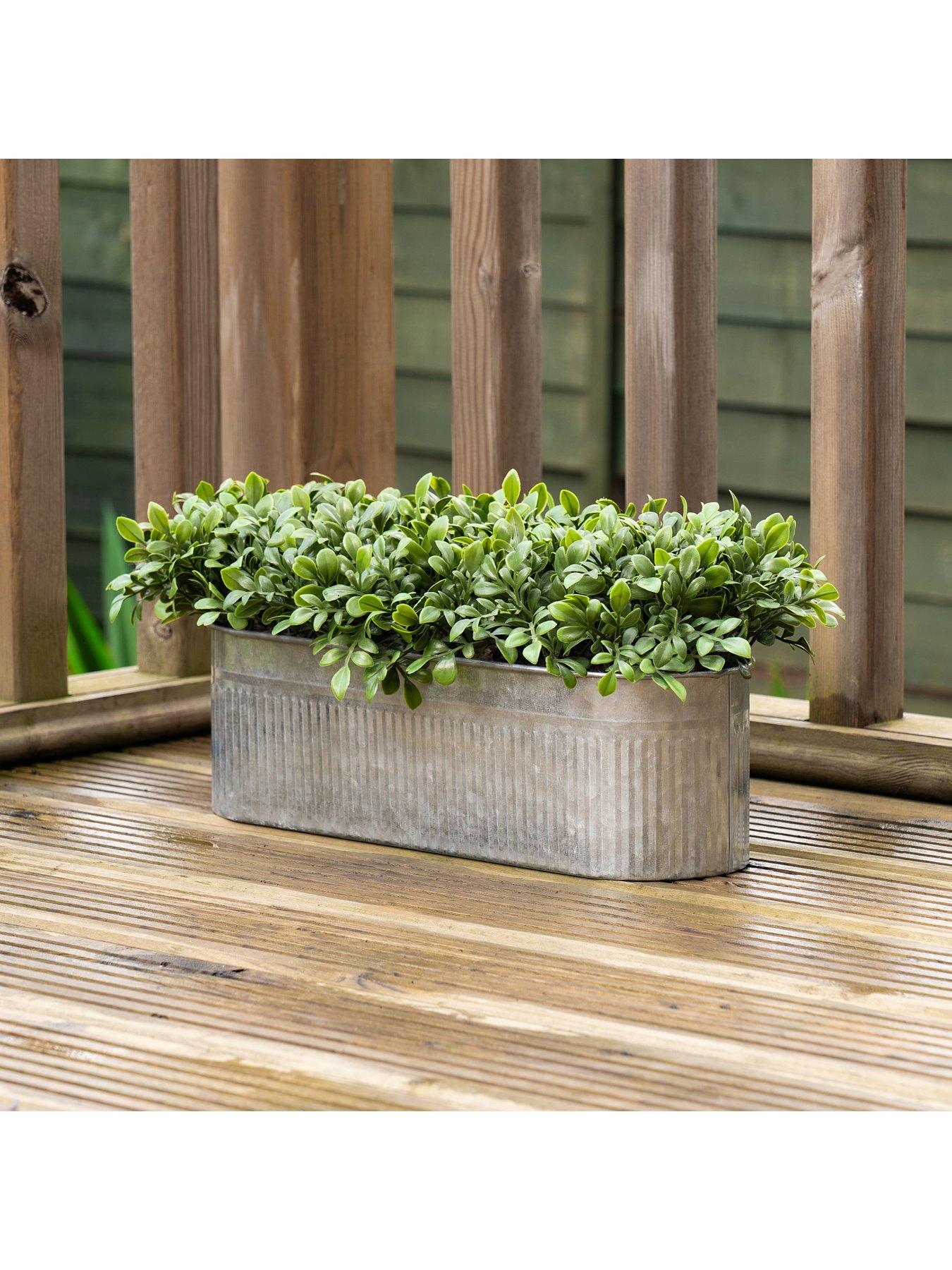 Image 3 of 4 of Scottish Everlastings 51X23Cm Boxwood Trough Uv