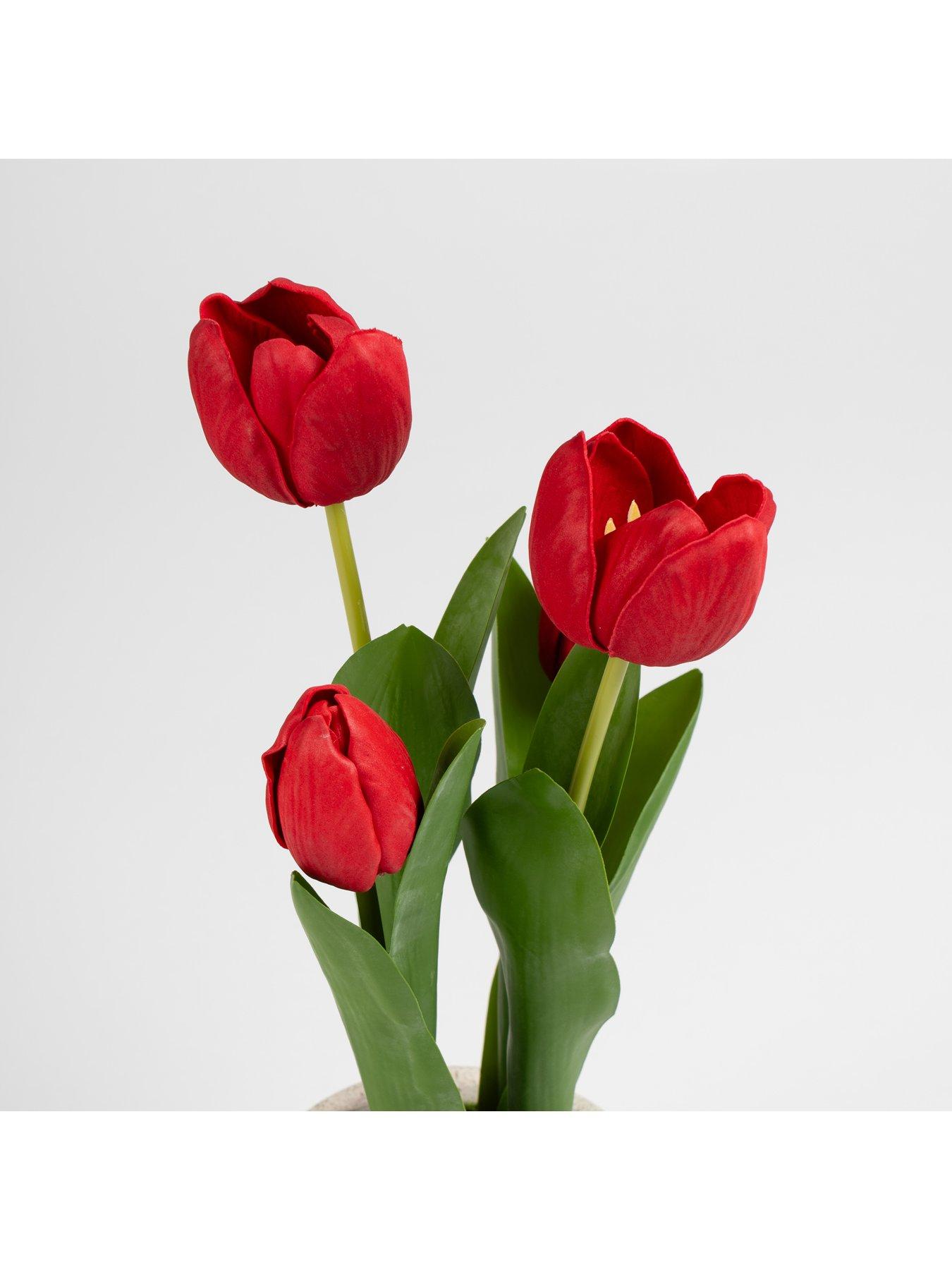 Image 2 of 2 of Scottish Everlastings 36cm Red Tulips in Cement Pot