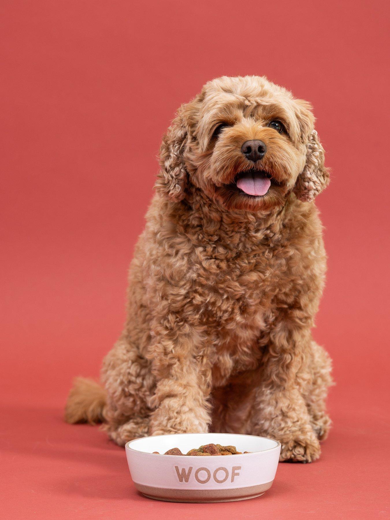 Image 1 of 7 of Mason Cash Set Of 2 Woof 16Cm Bowls