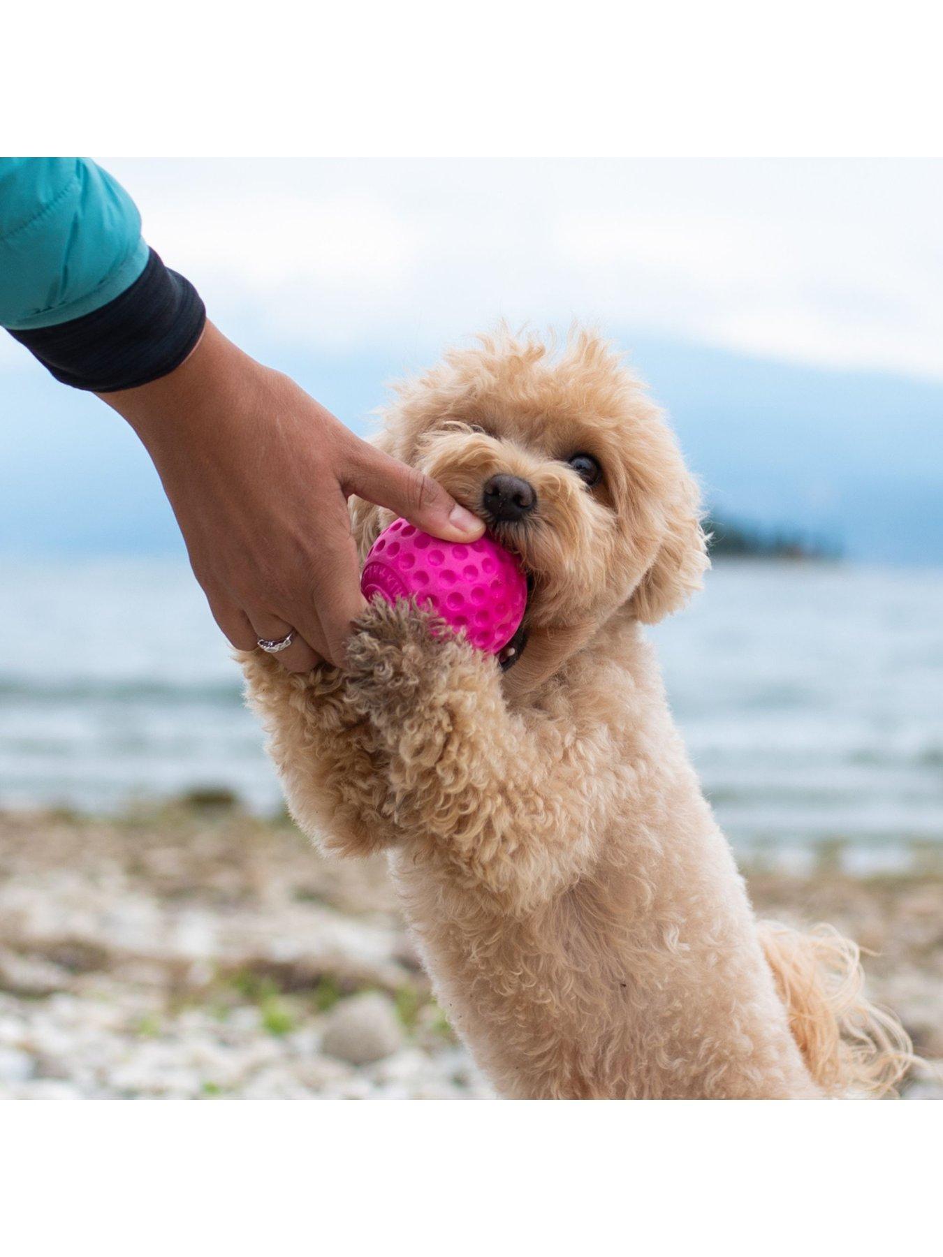  image of kiwi-walker-lets-play-twin-pack-featuring-a-ring-and-ball-pink