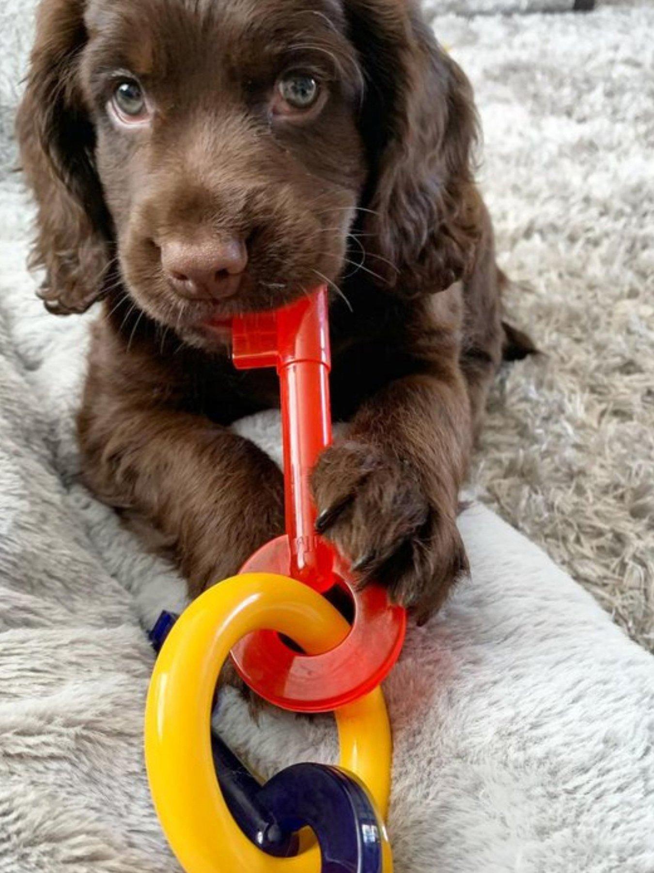stillFront image of nylabone-n220peu-ny-puppy-teething-keys-small
