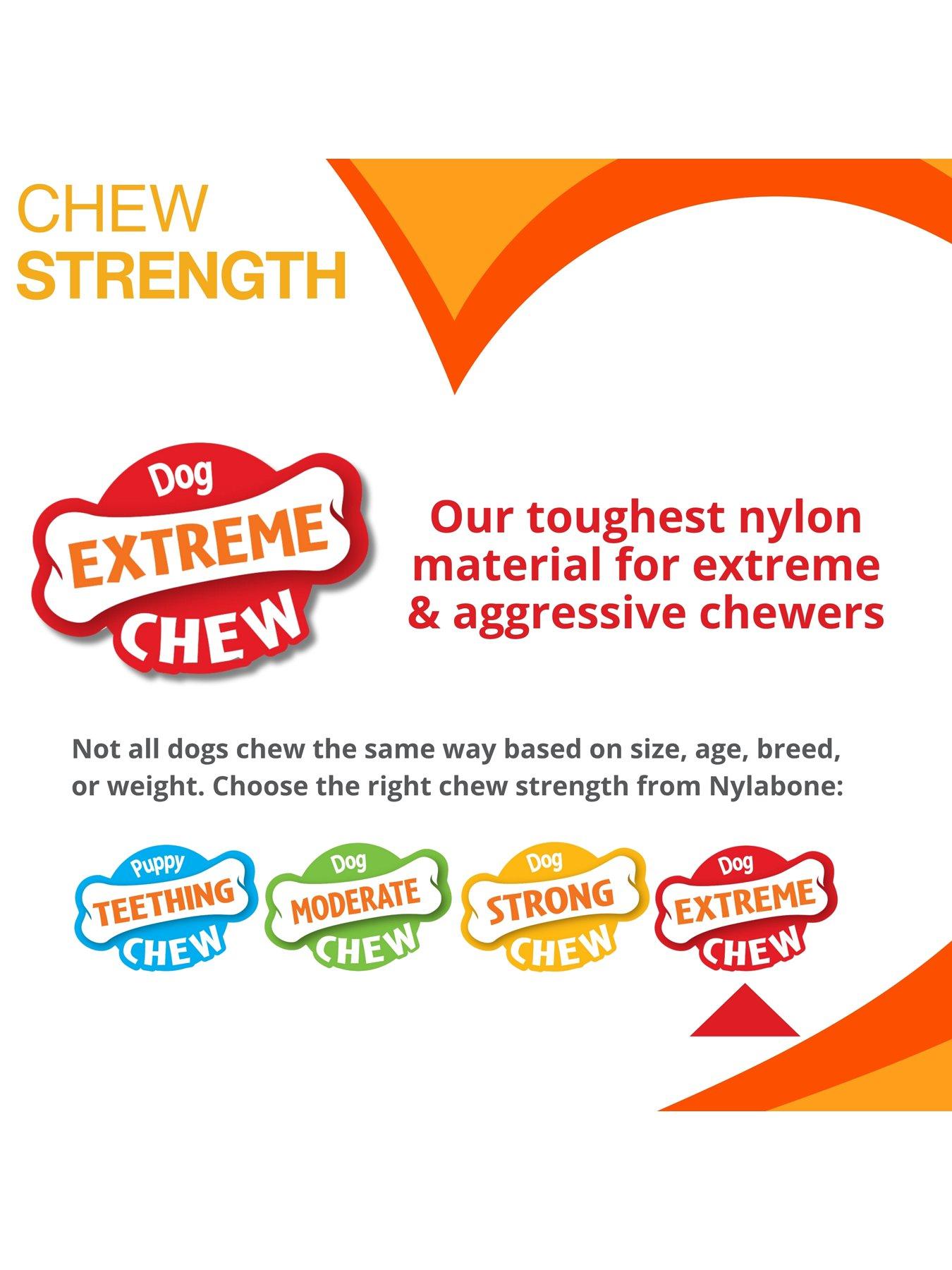  image of nylabone-nfcs103peu-ny-xtrem-chew-txture-bone-beefcheese-m