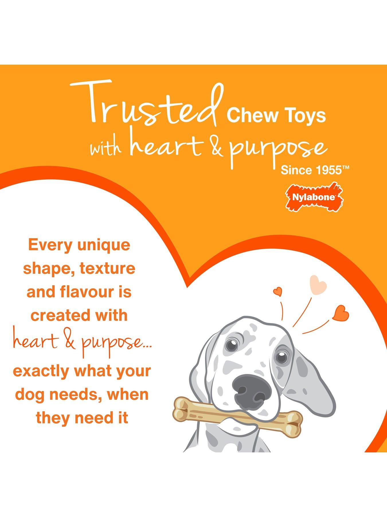  image of nylabone-nfcs103peu-ny-xtrem-chew-txture-bone-beefcheese-m