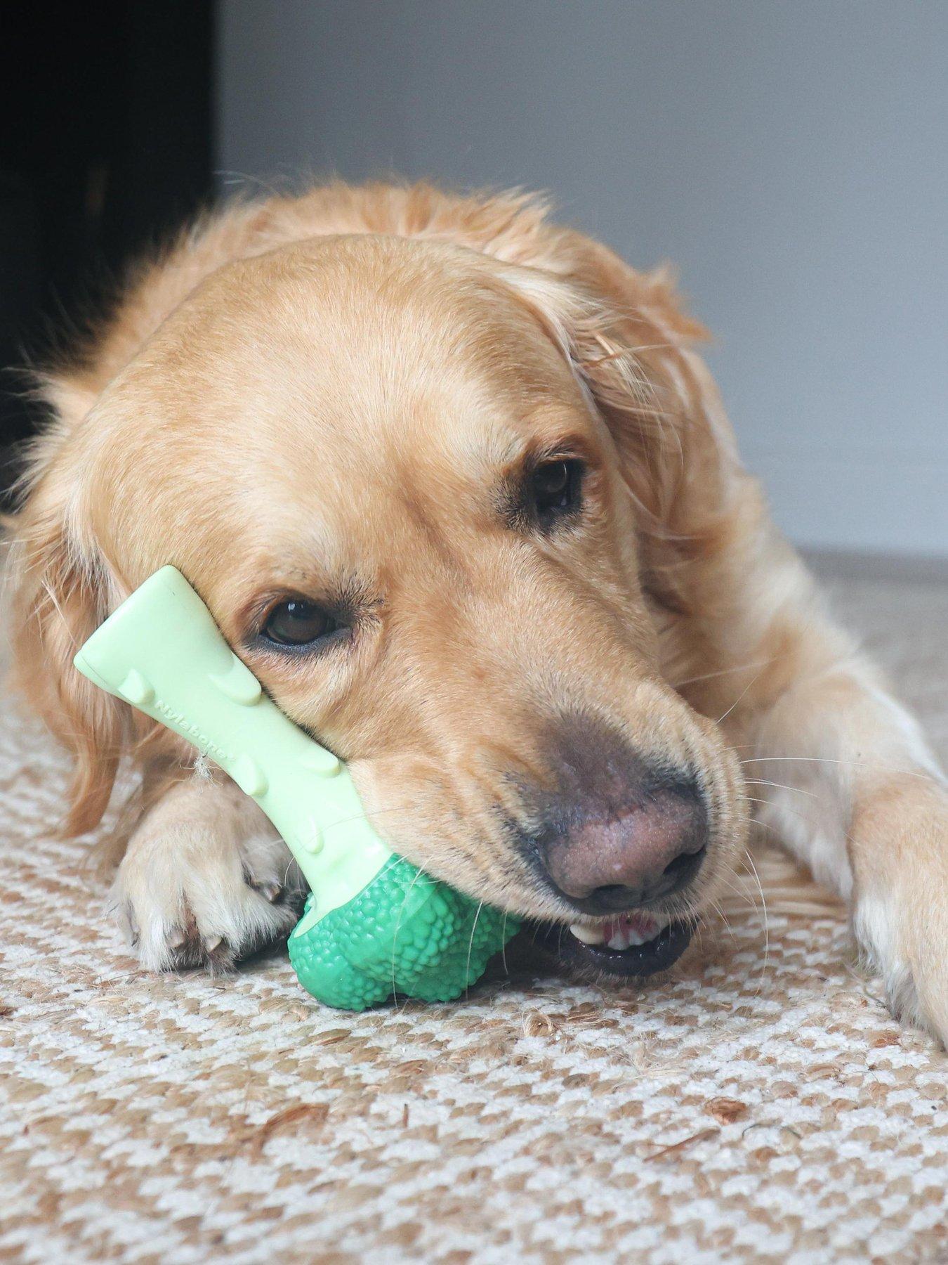  image of nylabone-dog-extreme-chew-brocolli-toy-bacon-cheese-flavour--large