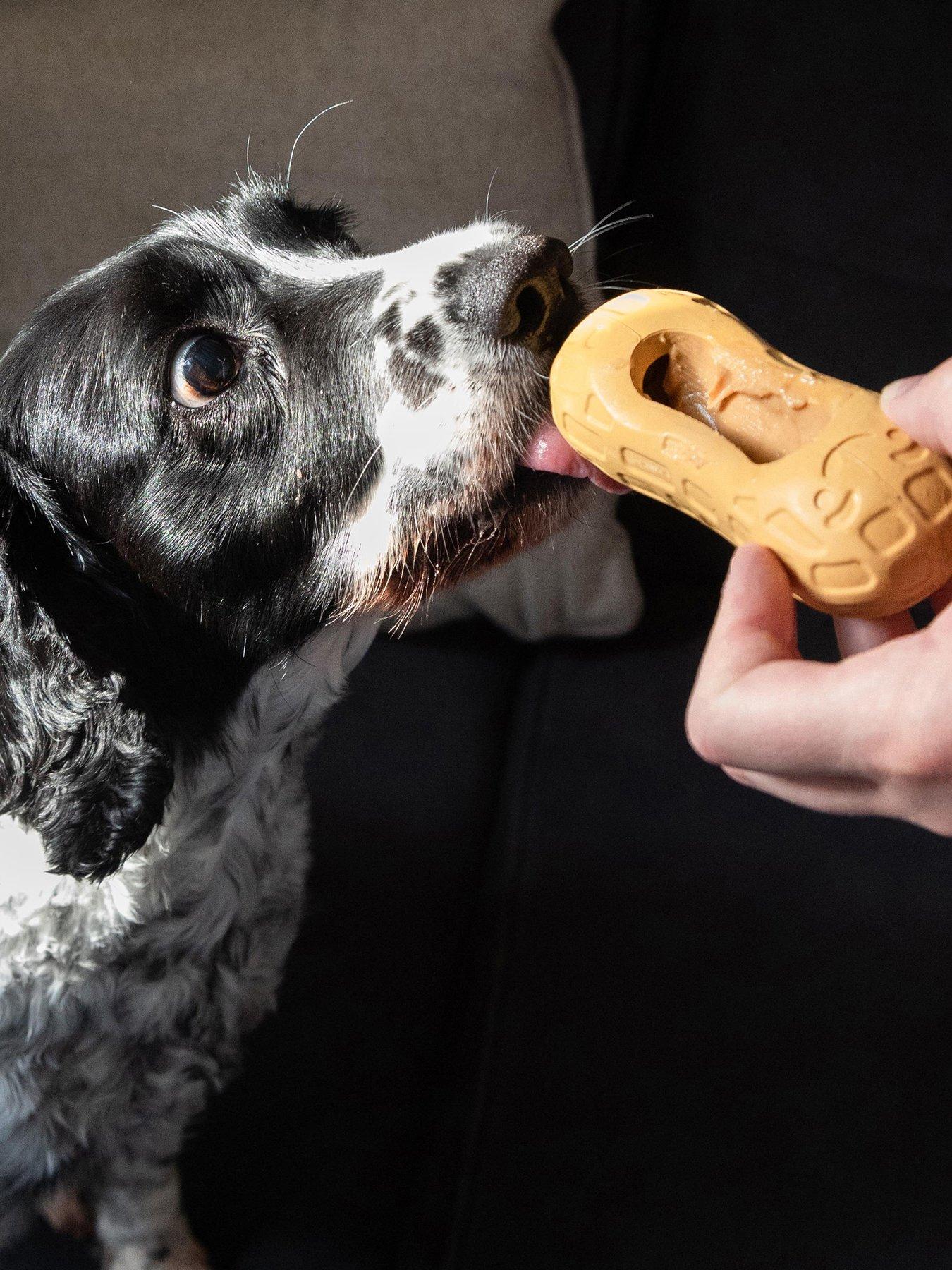 Image 4 of 7 of Nylabone Dog Strong Chew Peanut Butter Flavour Toy  - M