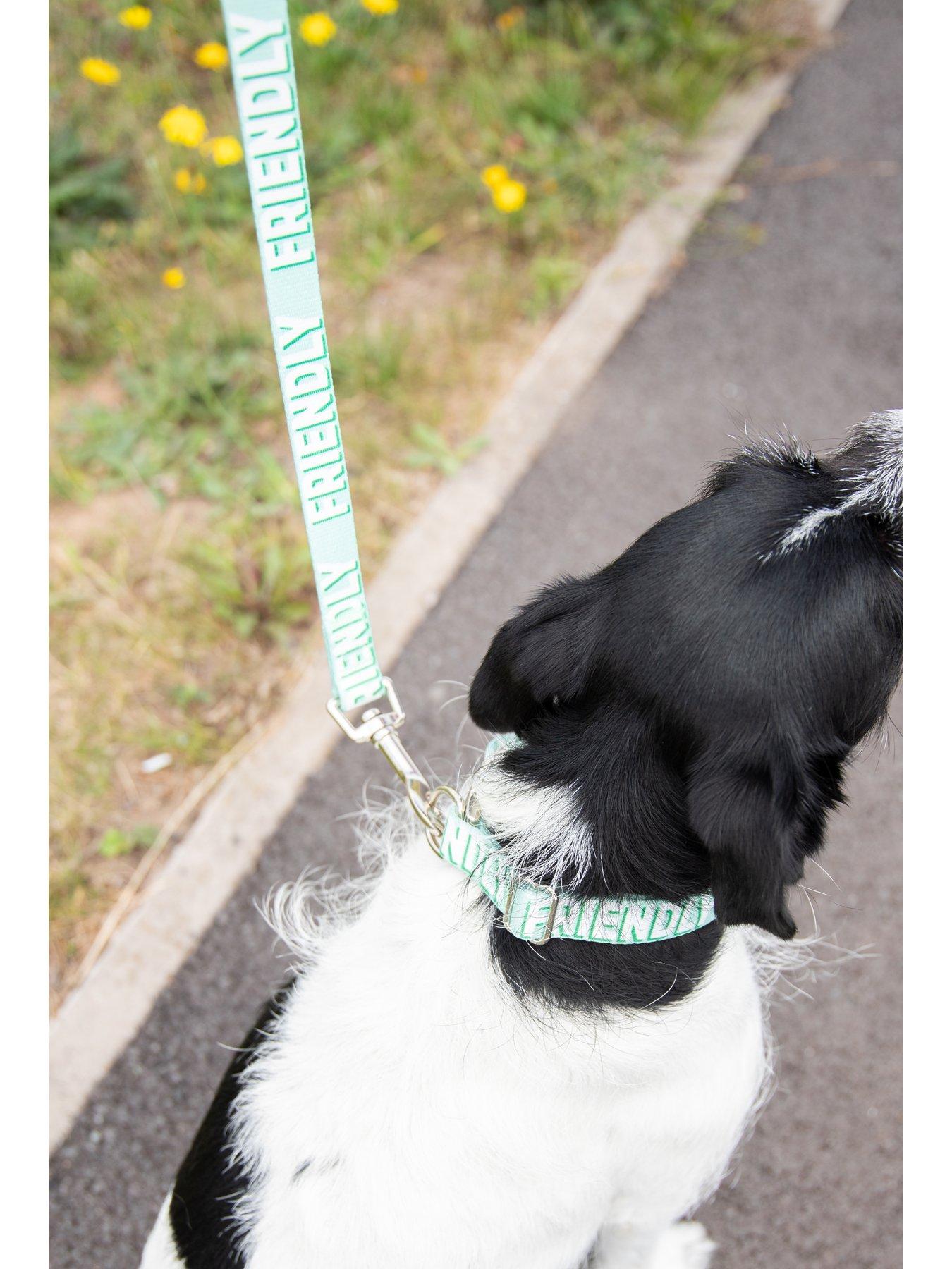  image of rosewood-friendly-alert-dog-lead