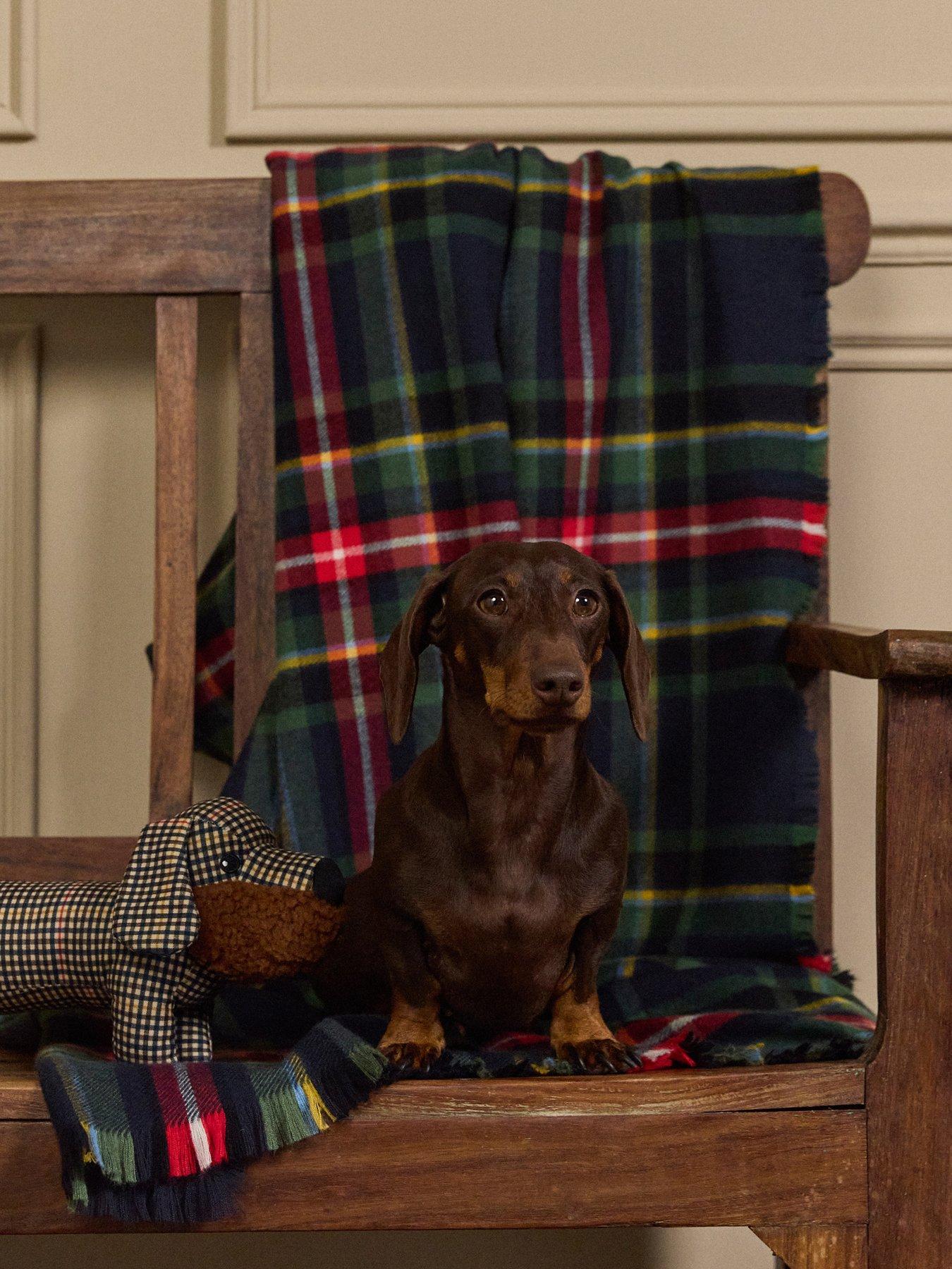 Image 7 of 7 of Joules Henson Check Dog Toy