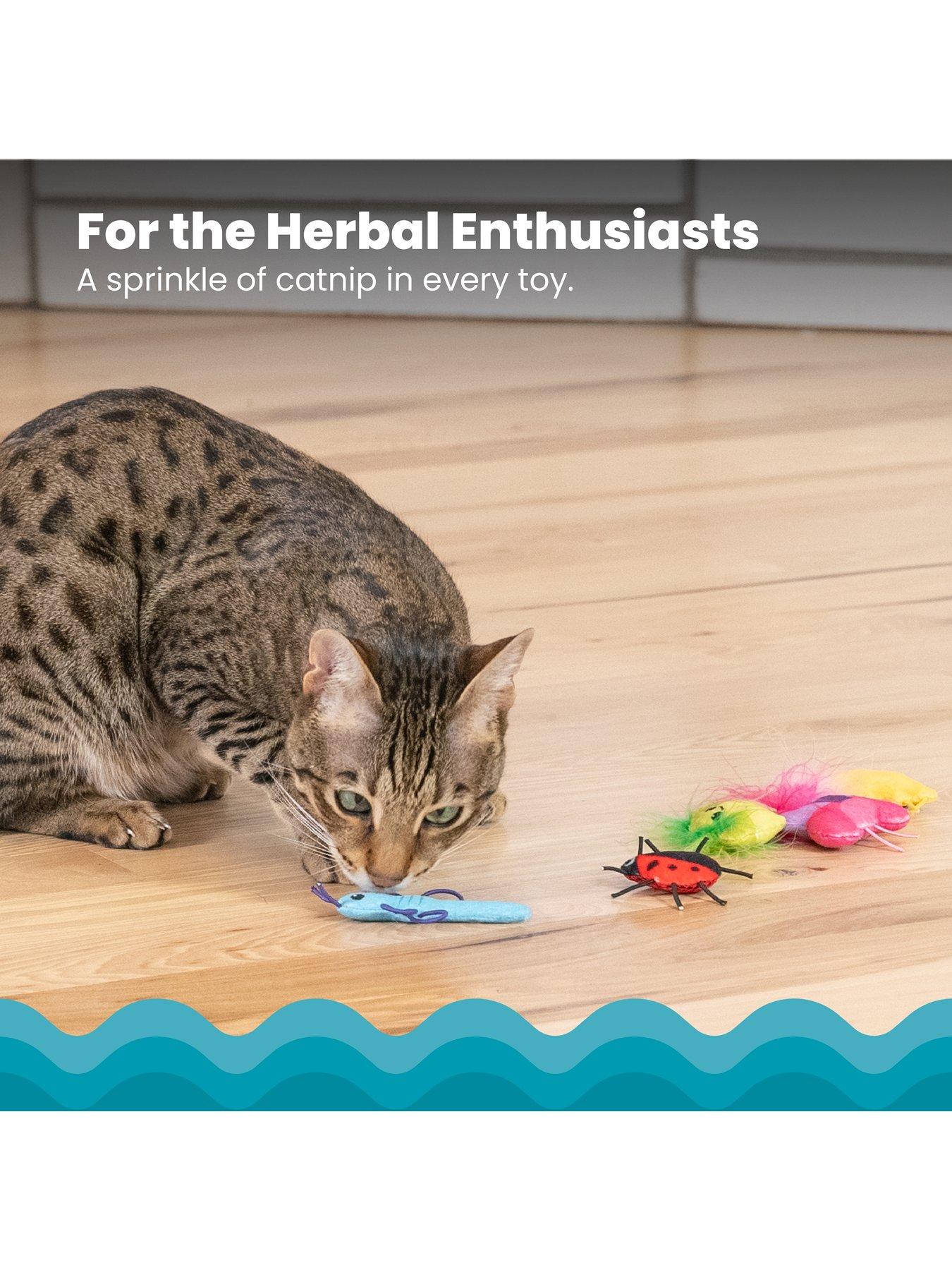 Image 3 of 7 of Nina Ottosson Cute As A Bug 6 Pack Cat Toy