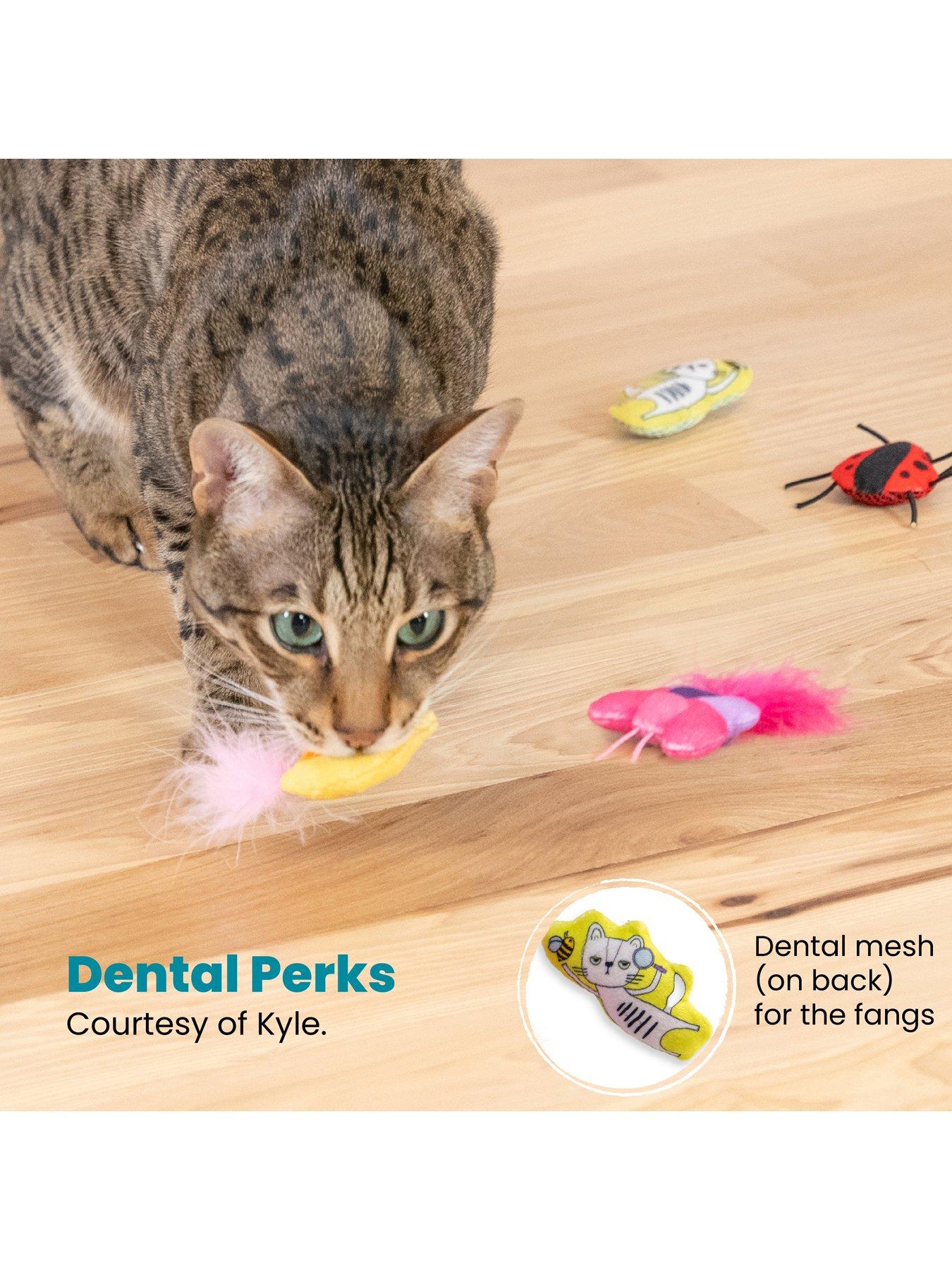 Image 5 of 7 of Nina Ottosson Cute As A Bug 6 Pack Cat Toy