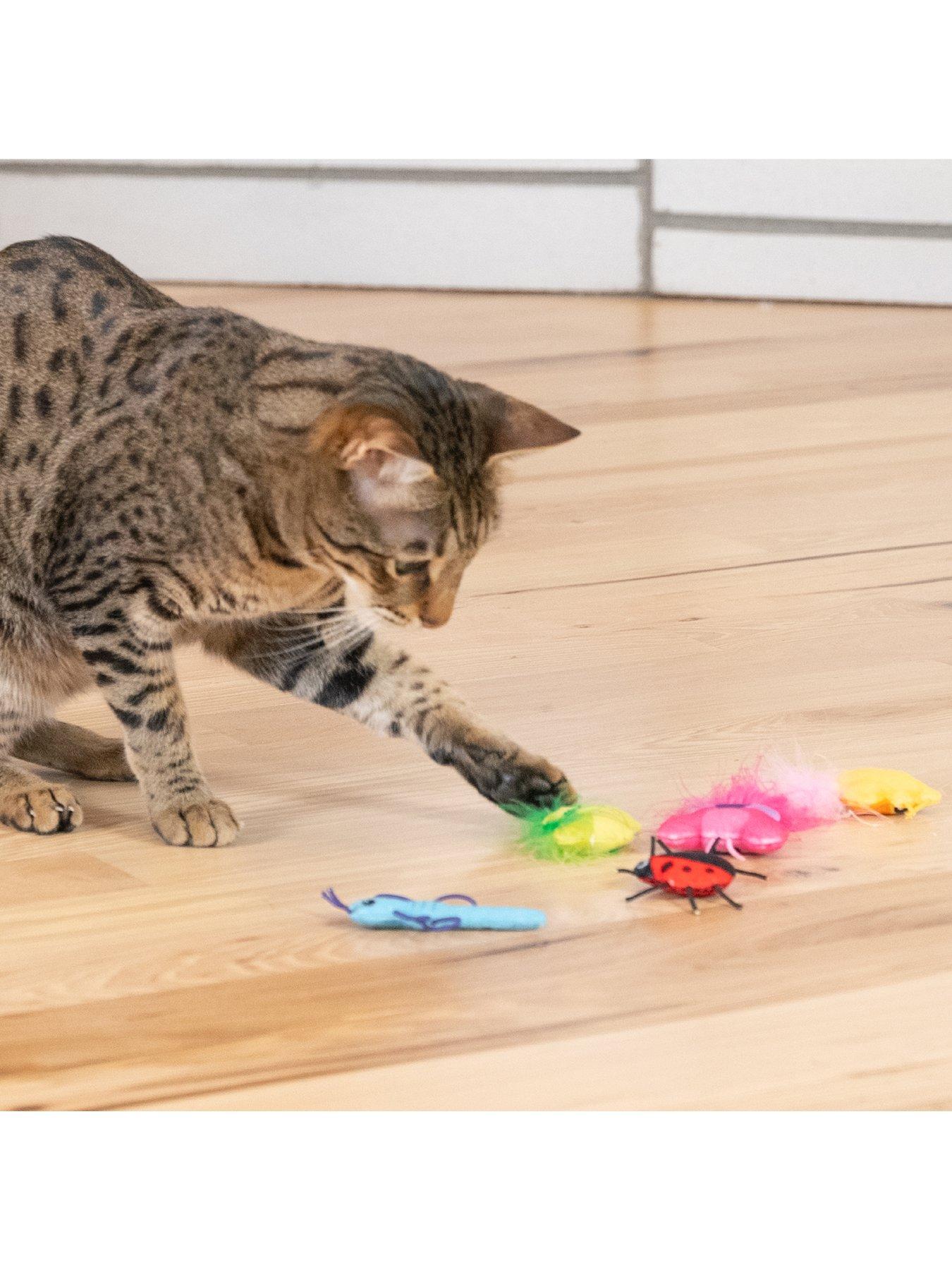 Image 7 of 7 of Nina Ottosson Cute As A Bug 6 Pack Cat Toy