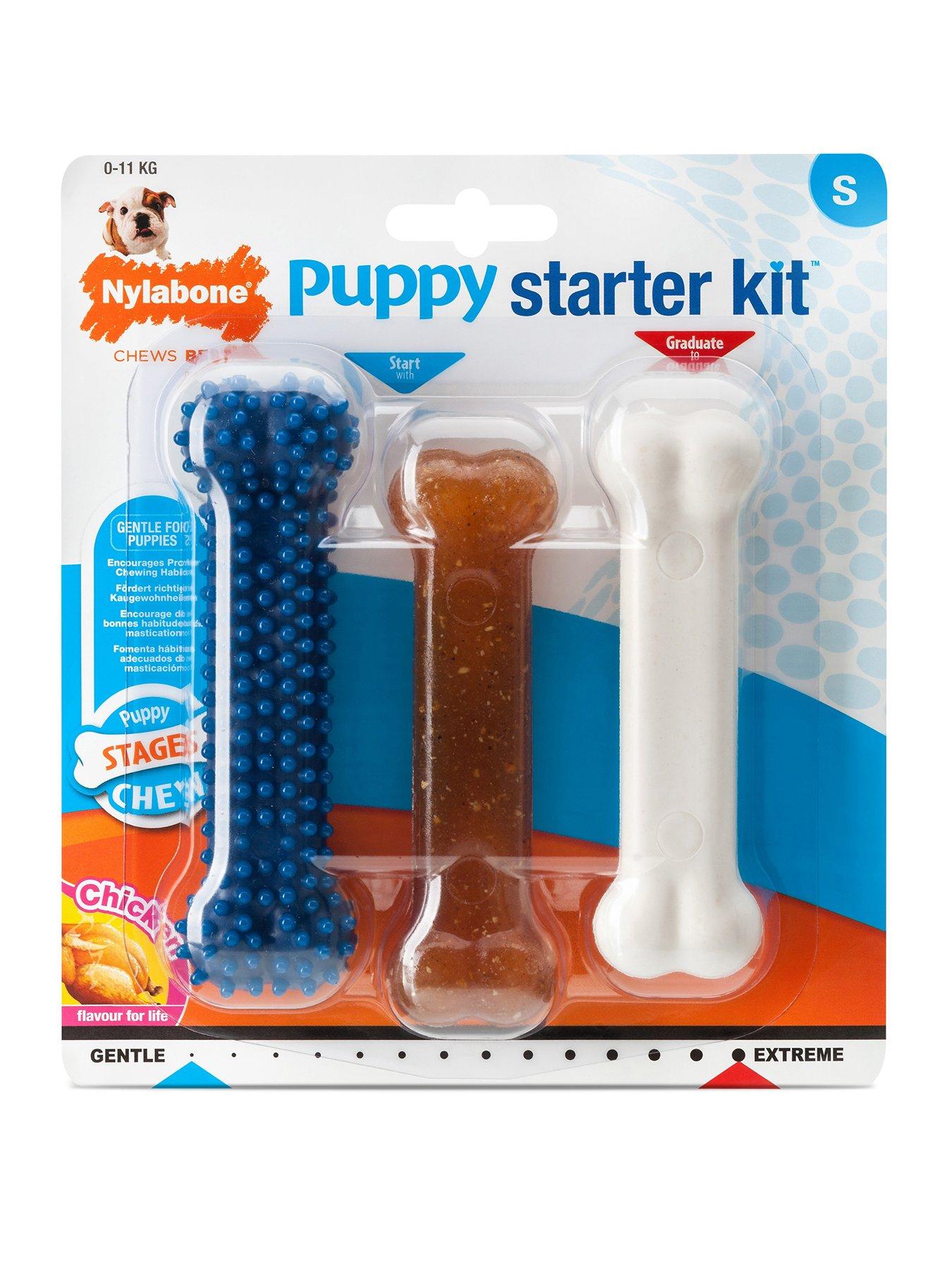 Nylabone N301Pskeu - Ny Puppy Starter Kit Small