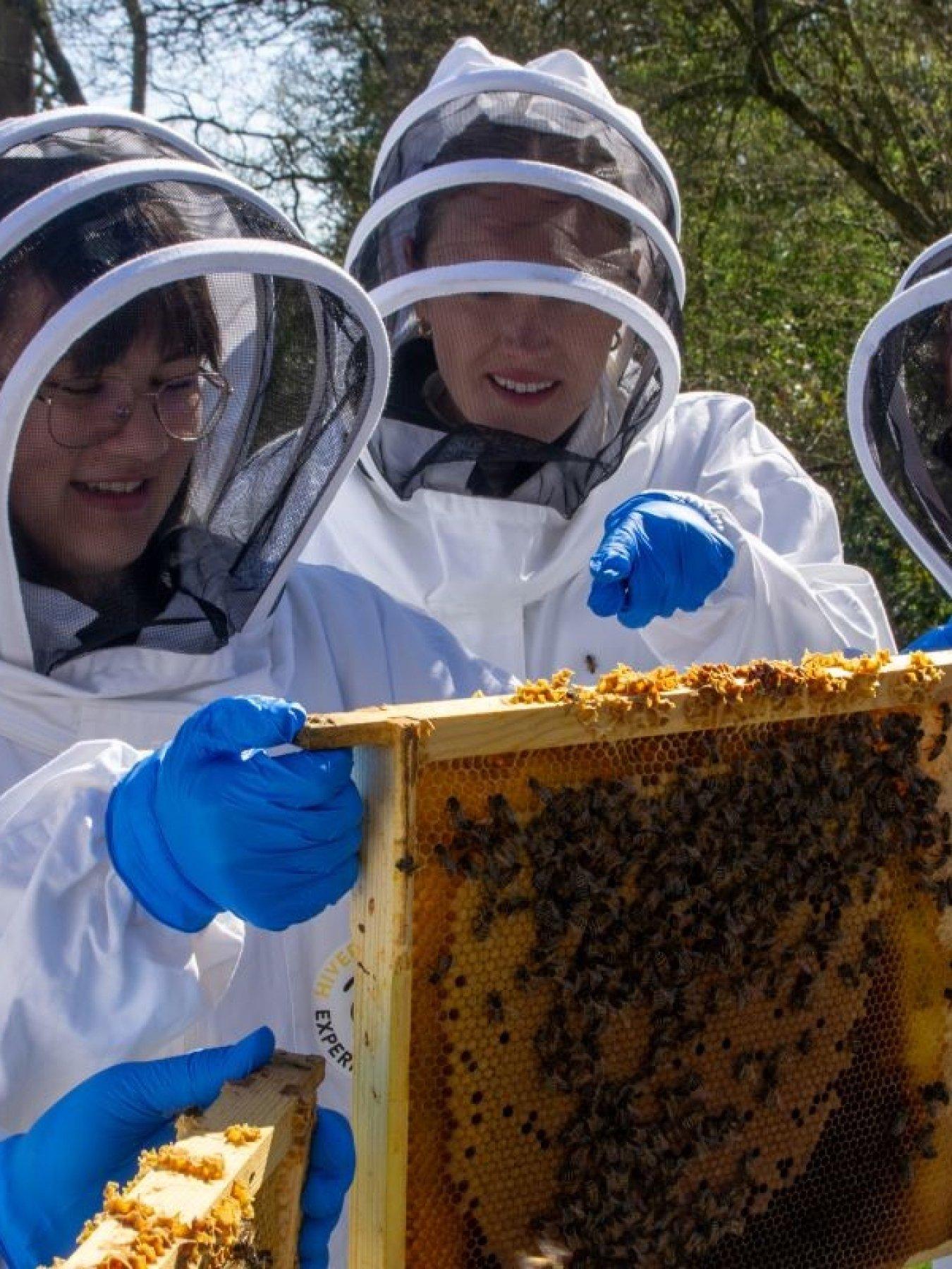 Image 2 of 5 of Virgin Experience Days Hiver's Beekeeping Taster with Honey Tasting for Two - 2 UK Locations