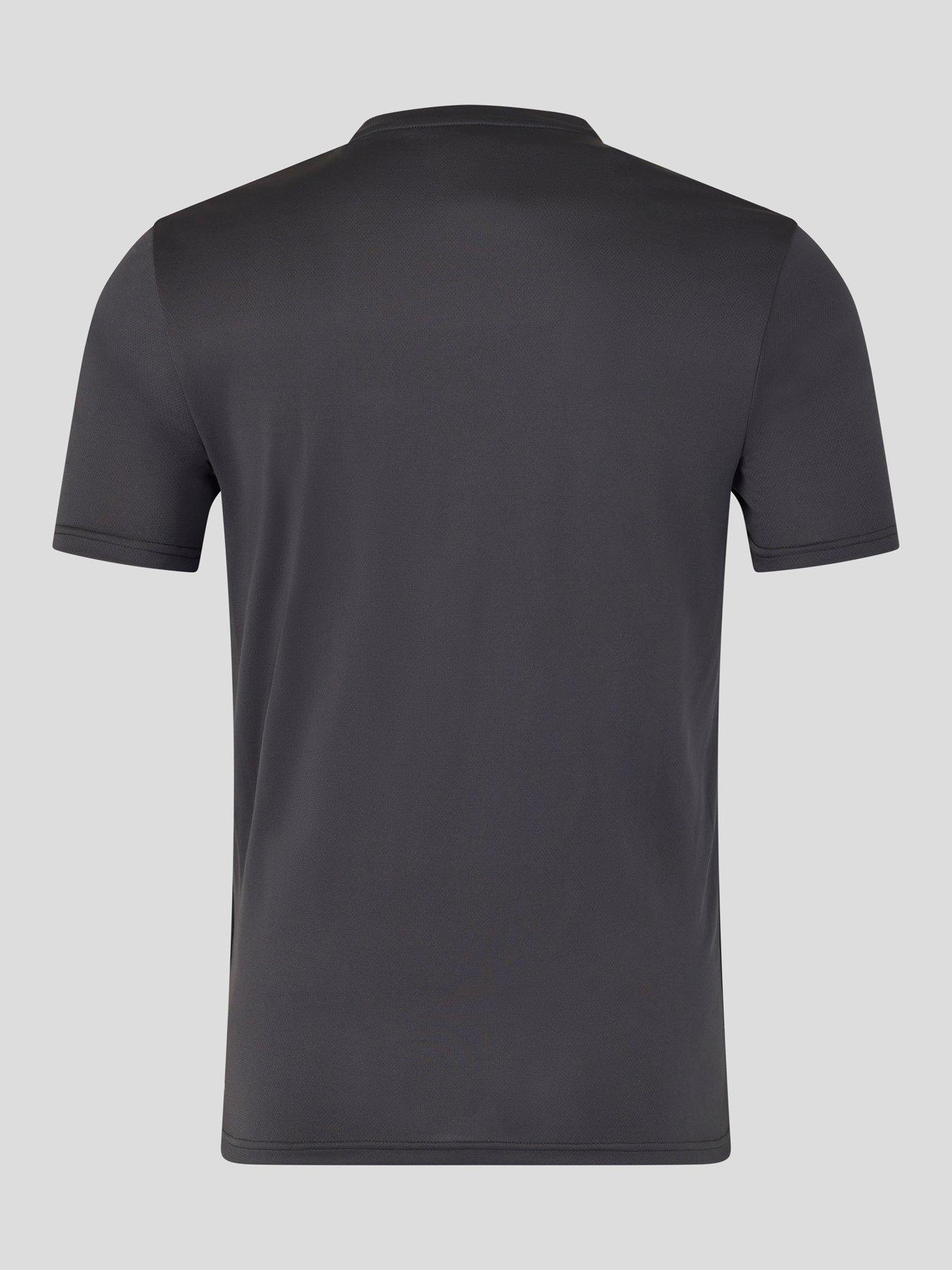  image of castore-mens-training-graphic-t-shirt-grey