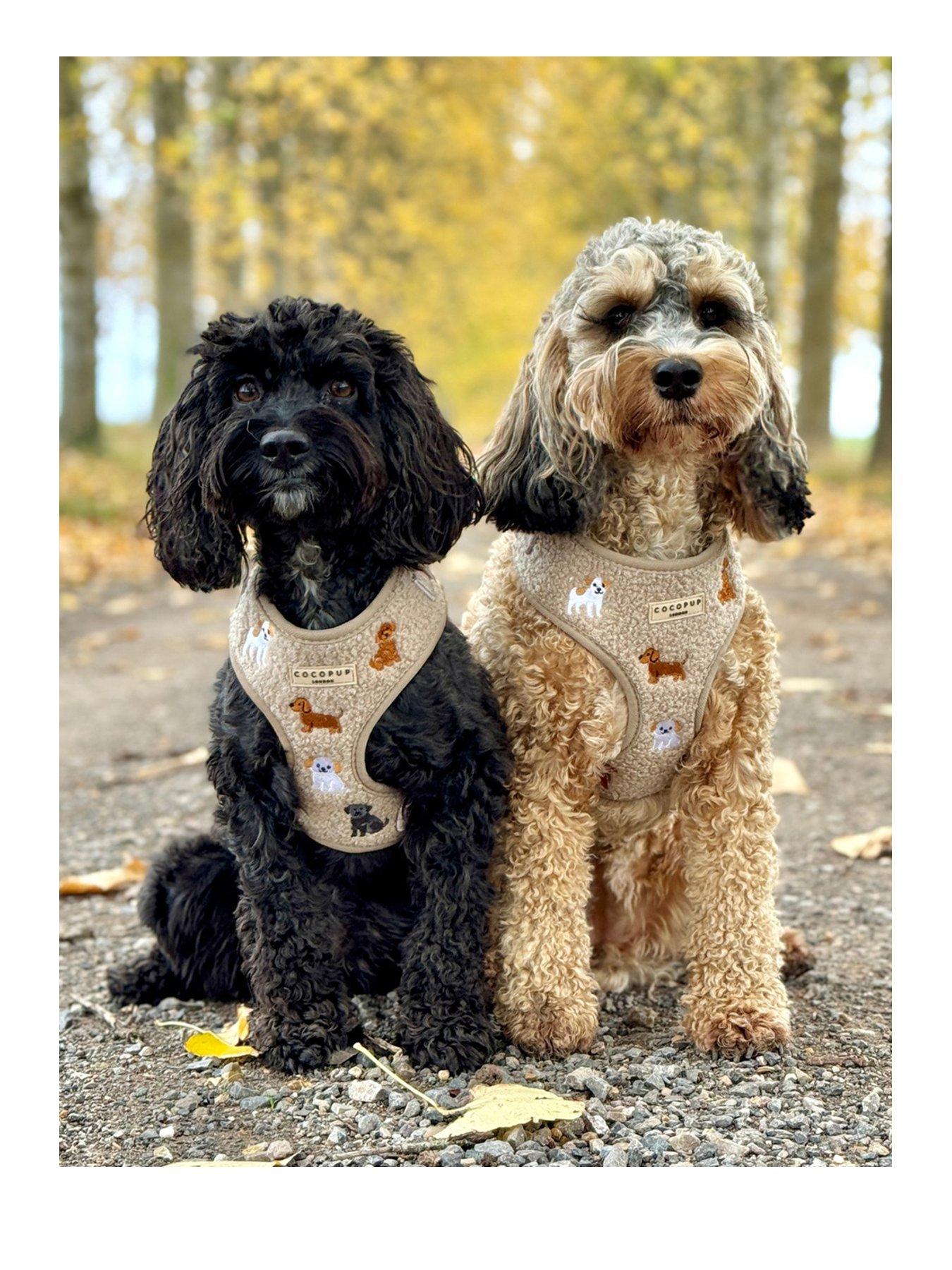 cocopup-ralph-friends-mocha-teddy-adjustable-neck-harness