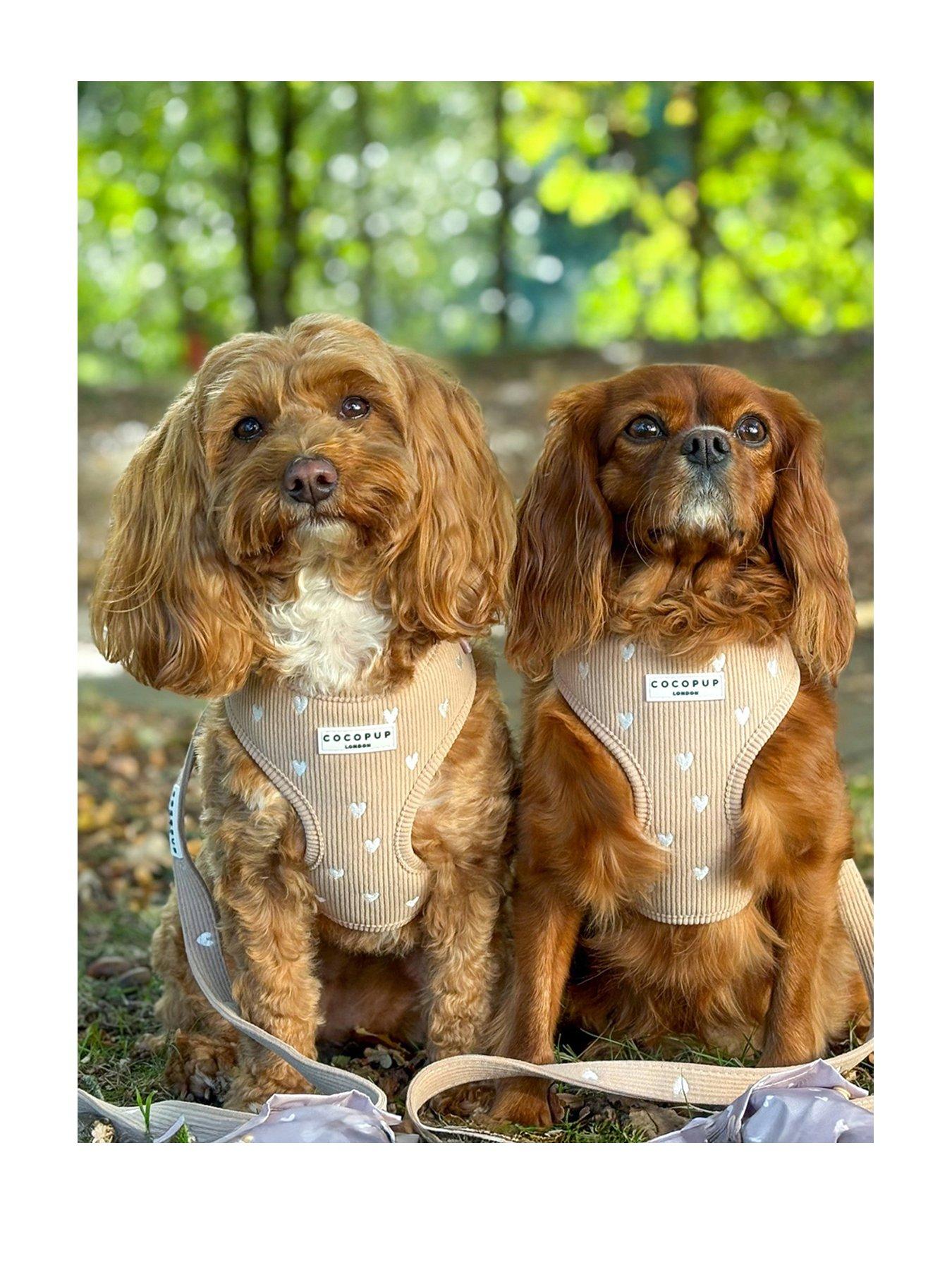 Cocopup Chai Hearts Adjustable Neck Harness