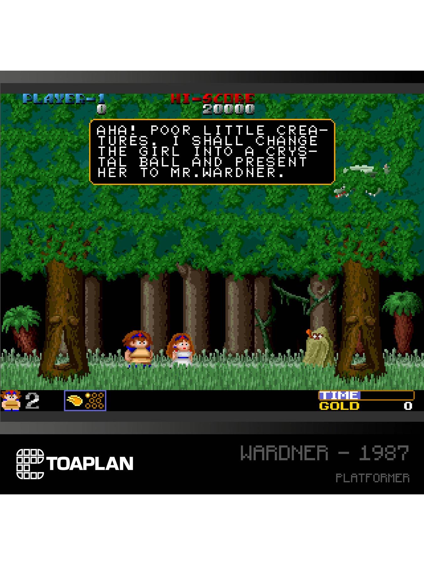 Image 3 of 7 of Evercade Toaplan Arcade Collect. 2