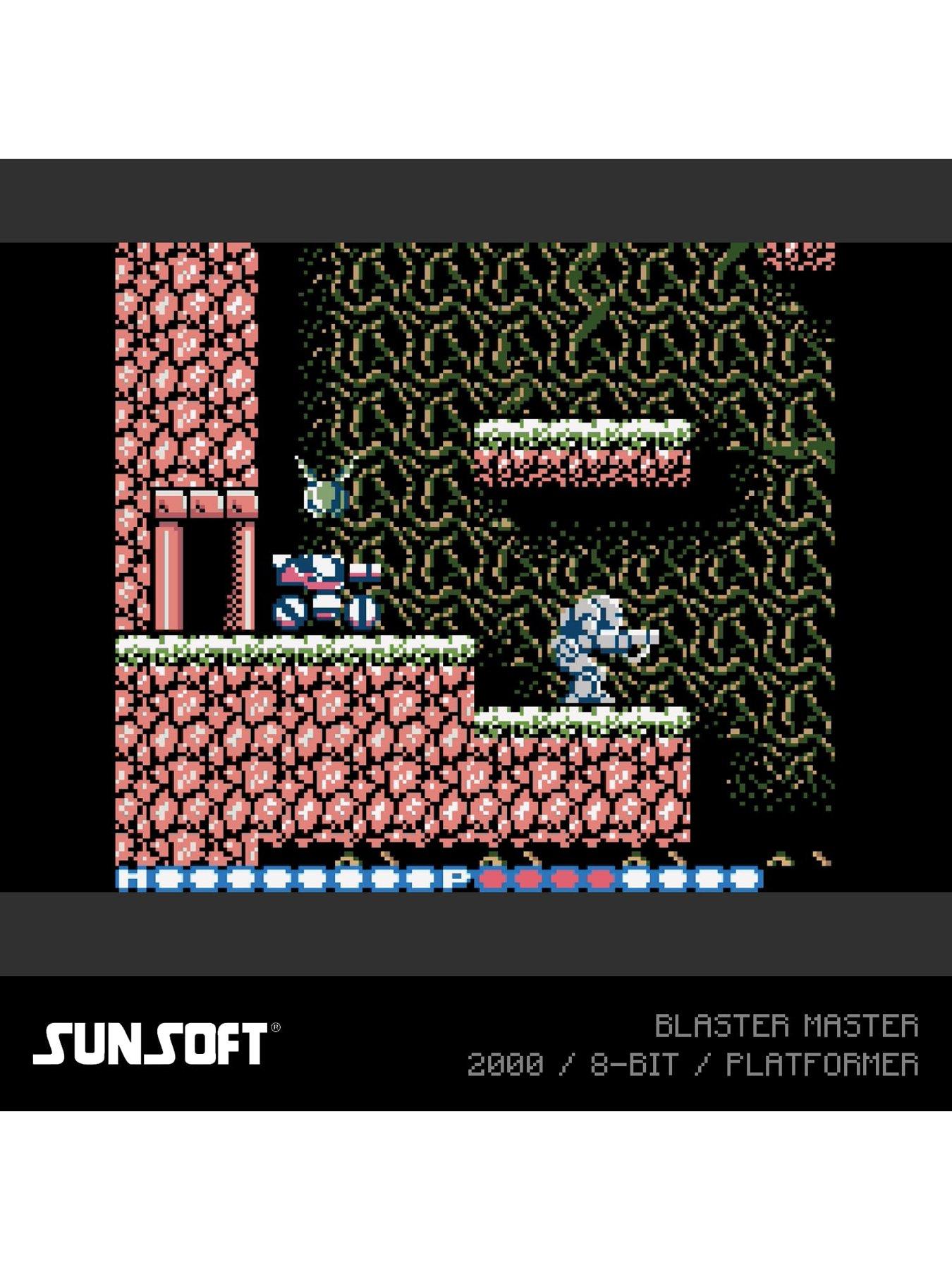  image of evercade-sunsoft-collection-2