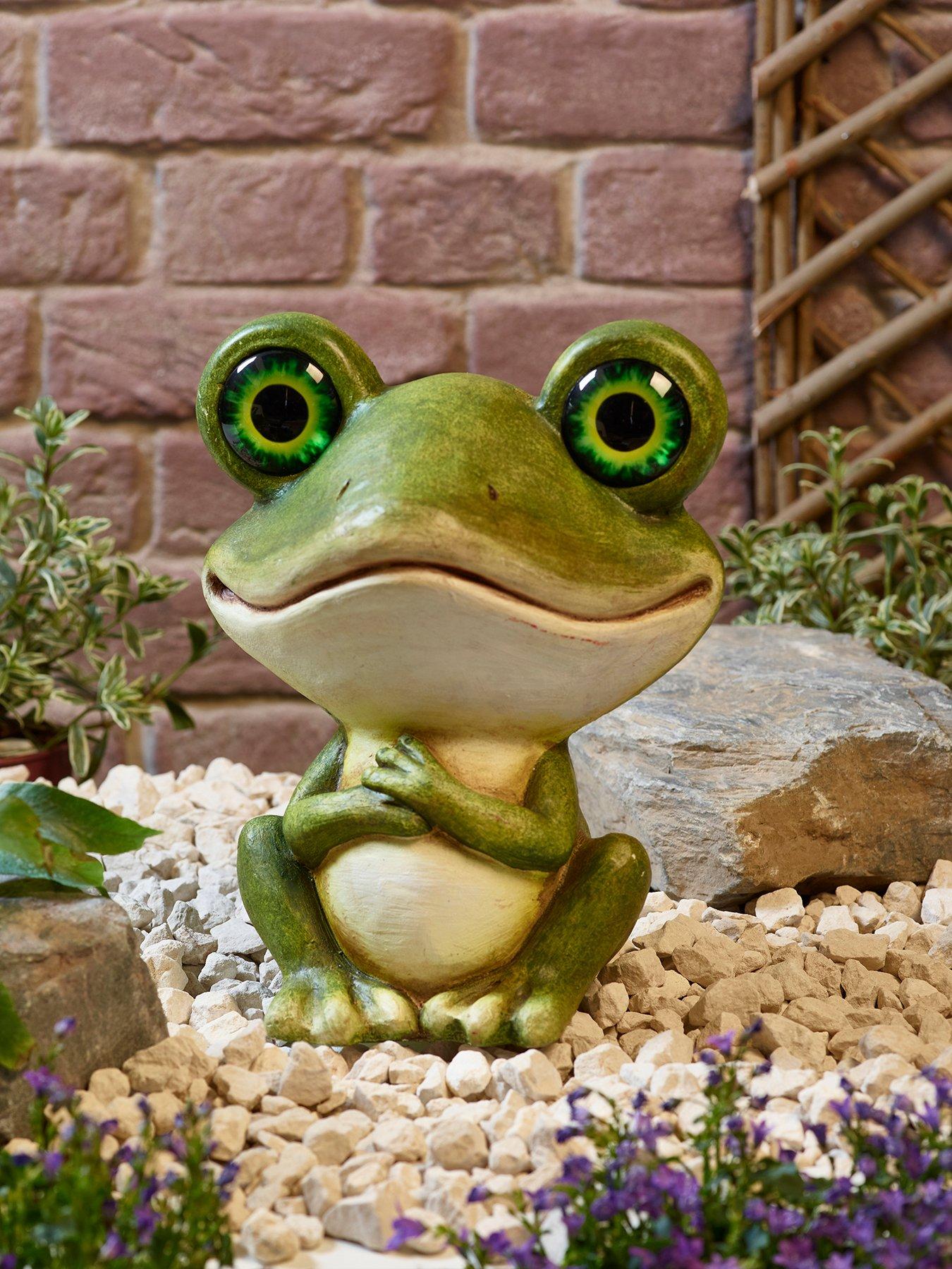  image of smart-solar-frog-eyes
