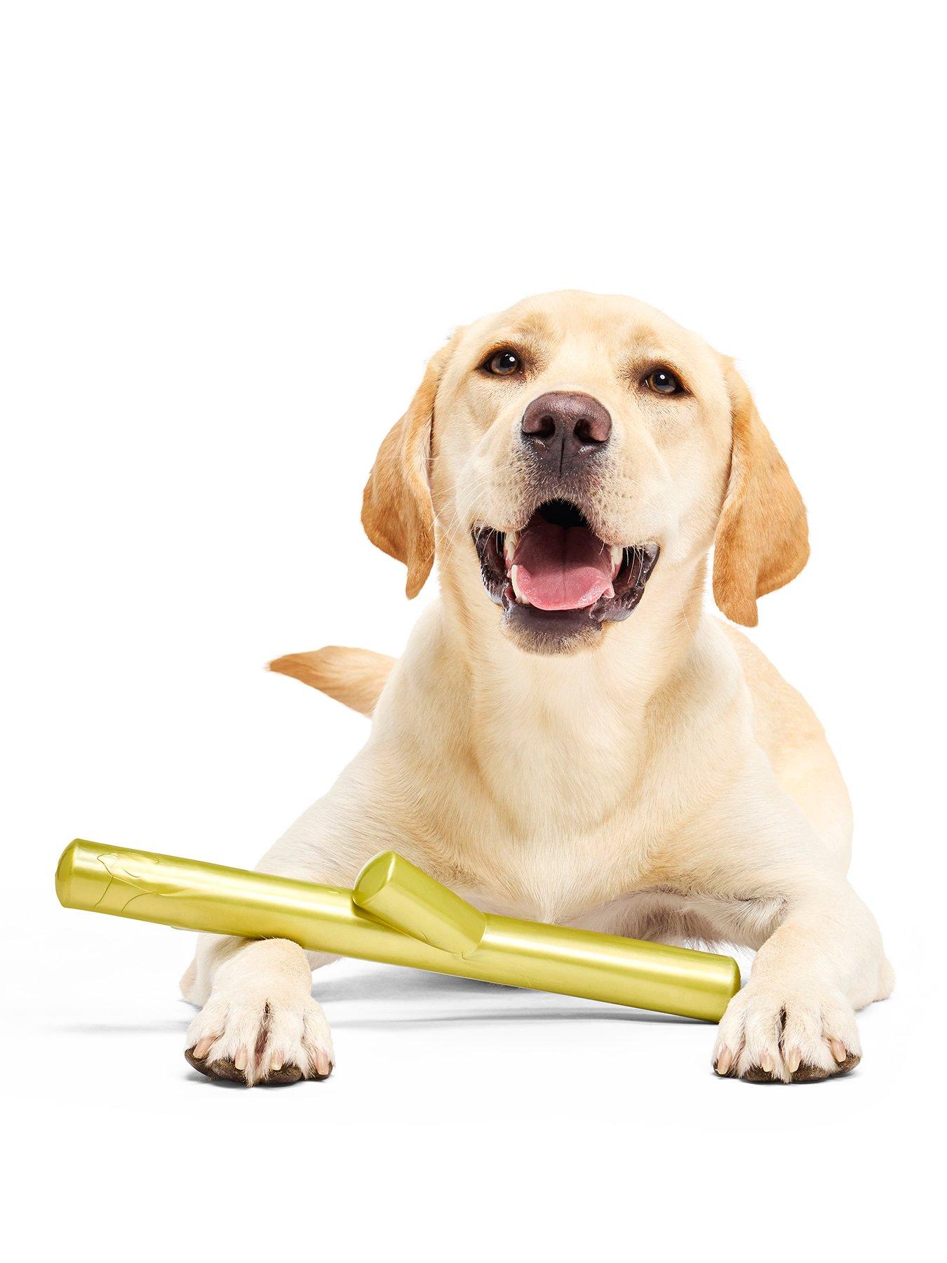 bark-x-crufts-stick-of-chompians-dog-toy
