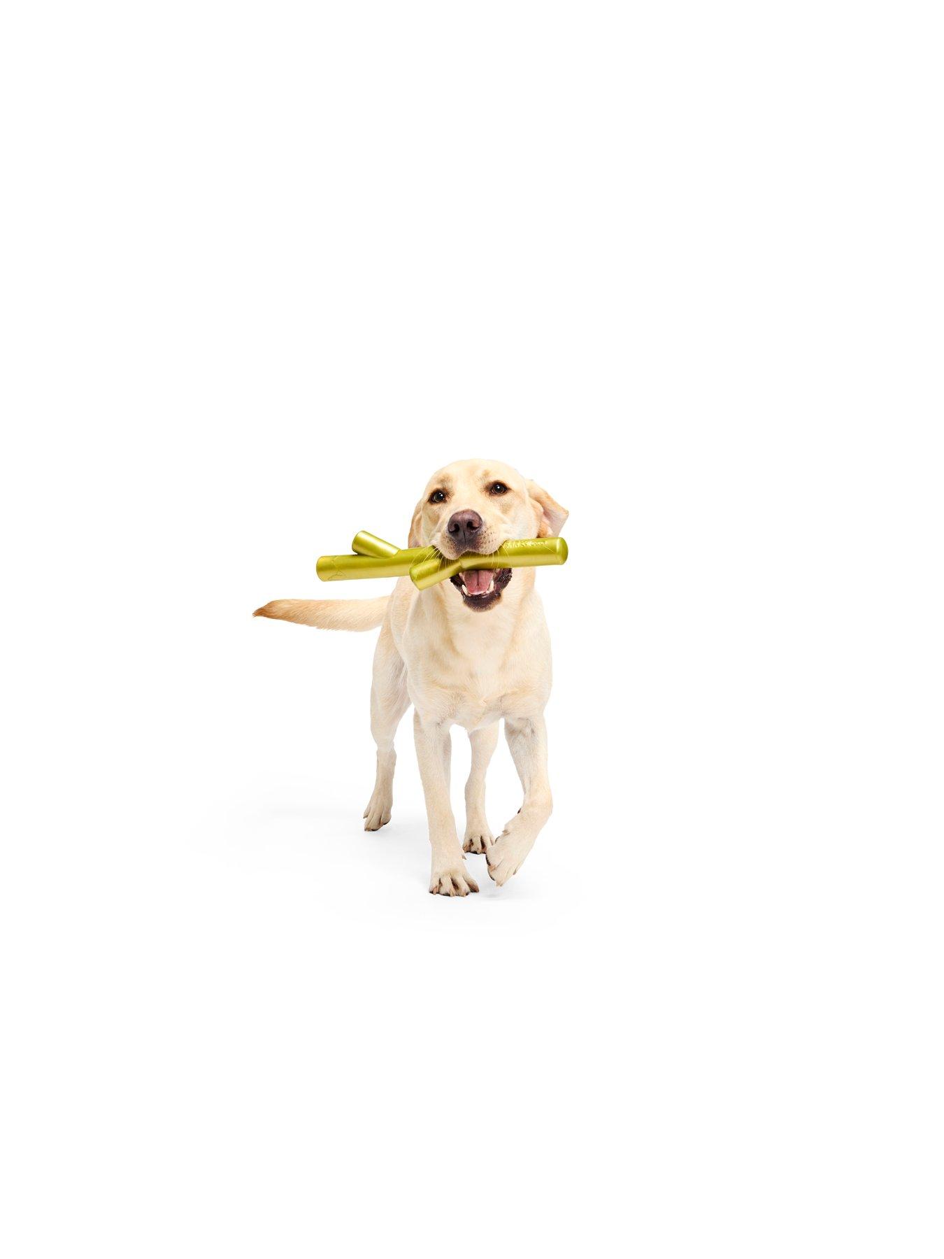  image of bark-x-crufts-stick-of-chompians-dog-toy
