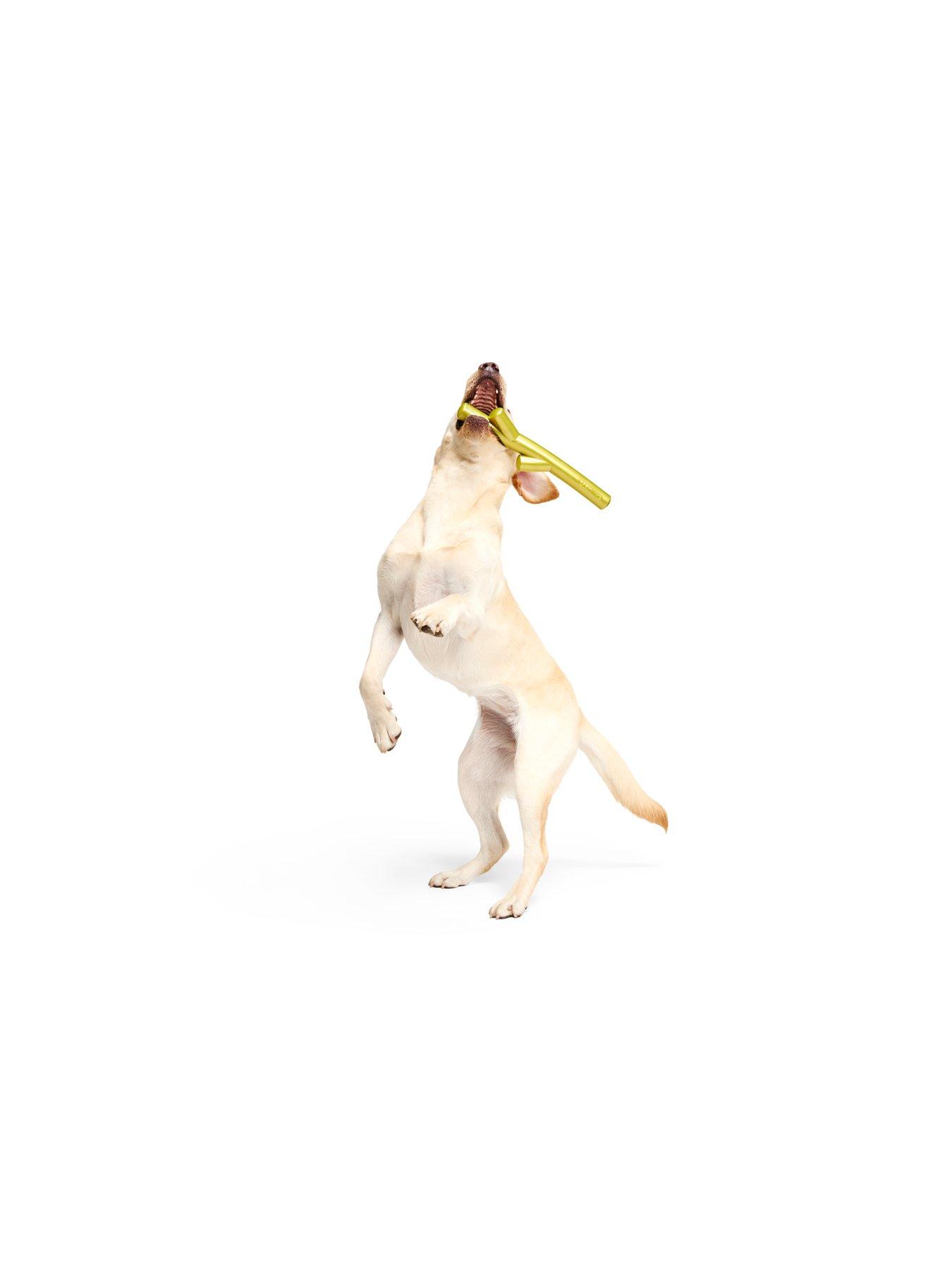  image of bark-x-crufts-stick-of-chompians-dog-toy