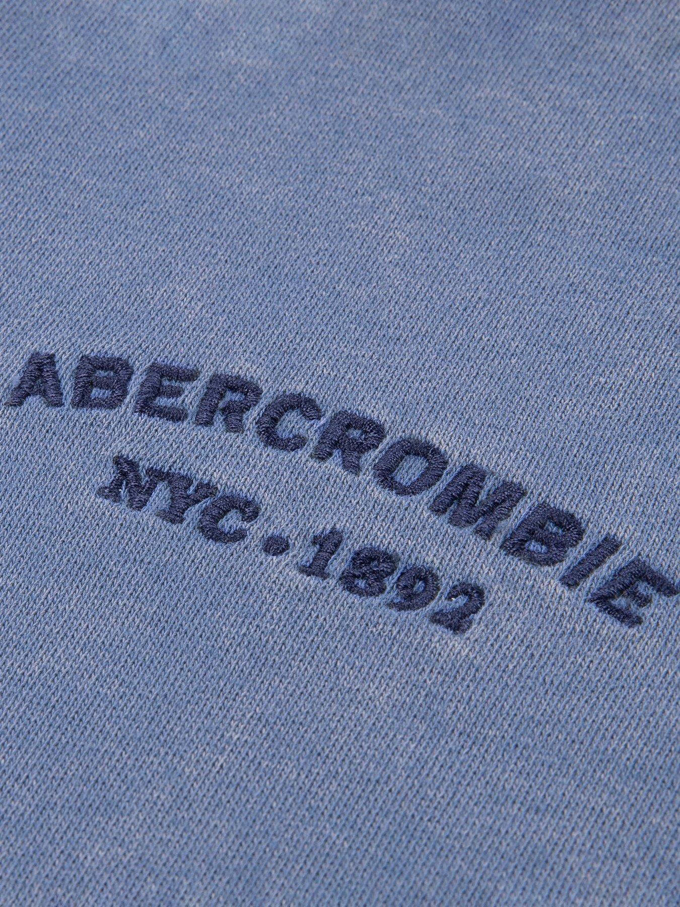 Image 3 of 3 of Abercrombie & Fitch Boys Sun Faded Pullover Hoodie - Blue