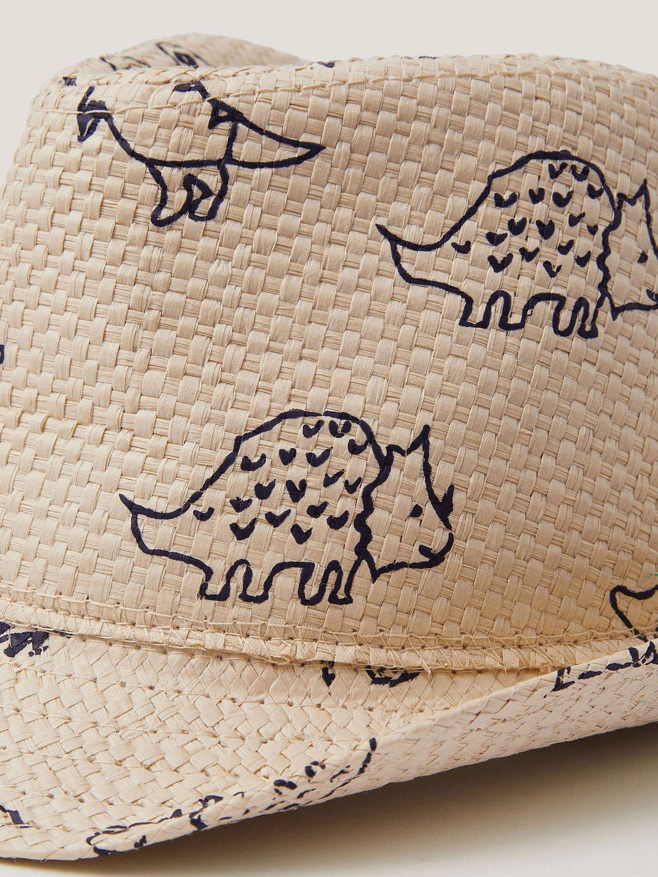 Image 3 of 3 of Monsoon Boys Dinosaur Trilby - Multi