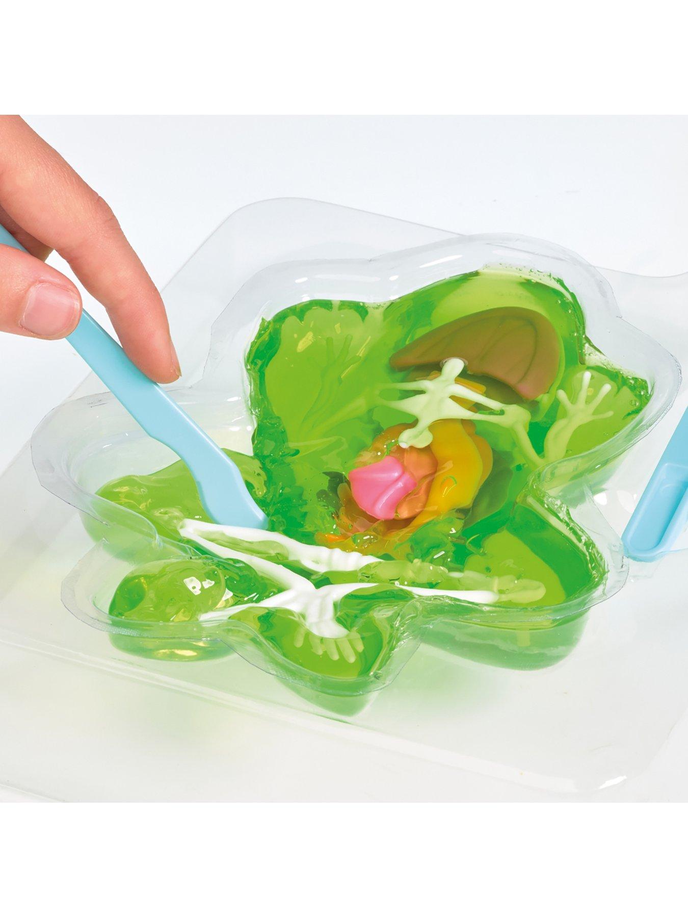  image of science-mad-dissection-kit-2-pack