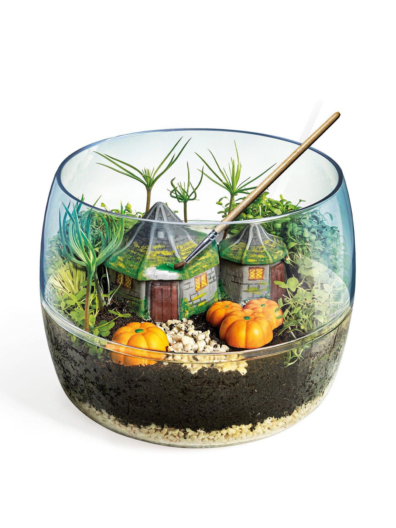 Image 2 of 6 of Harry Potter Hagrids Hut Terrarium Kit