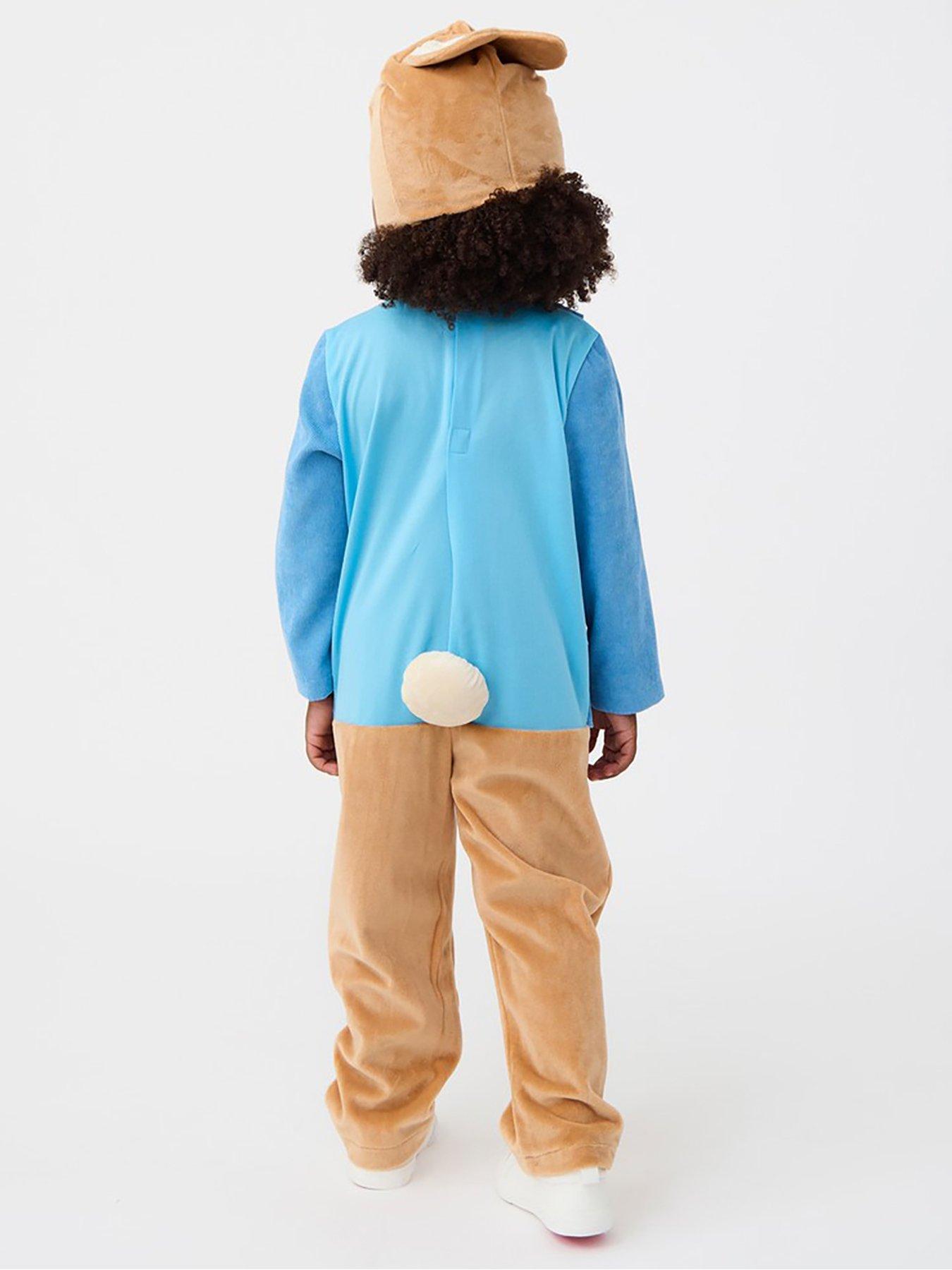 stillFront image of peter-rabbit-child-peter-rabbit-costume
