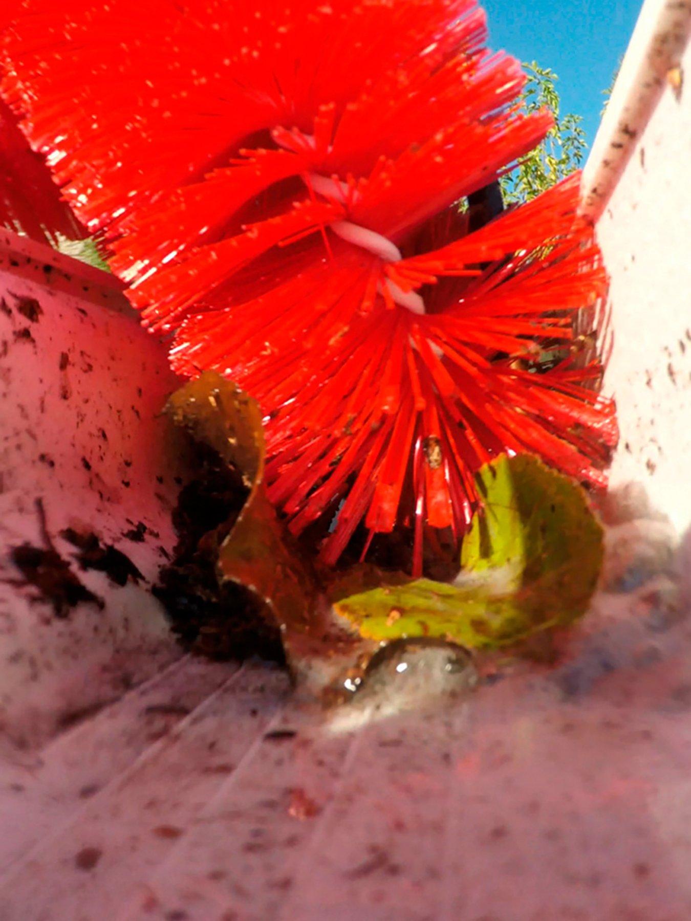 Image 3 of 5 of JML Starlyf Gutter Brush for Telescopic Hydro Cleaner