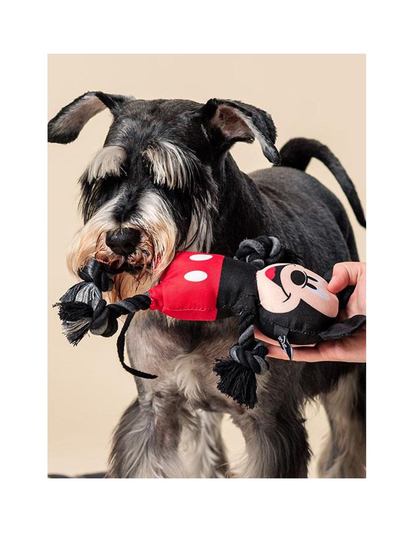 stillFront image of disney-mickey-mouse-toy