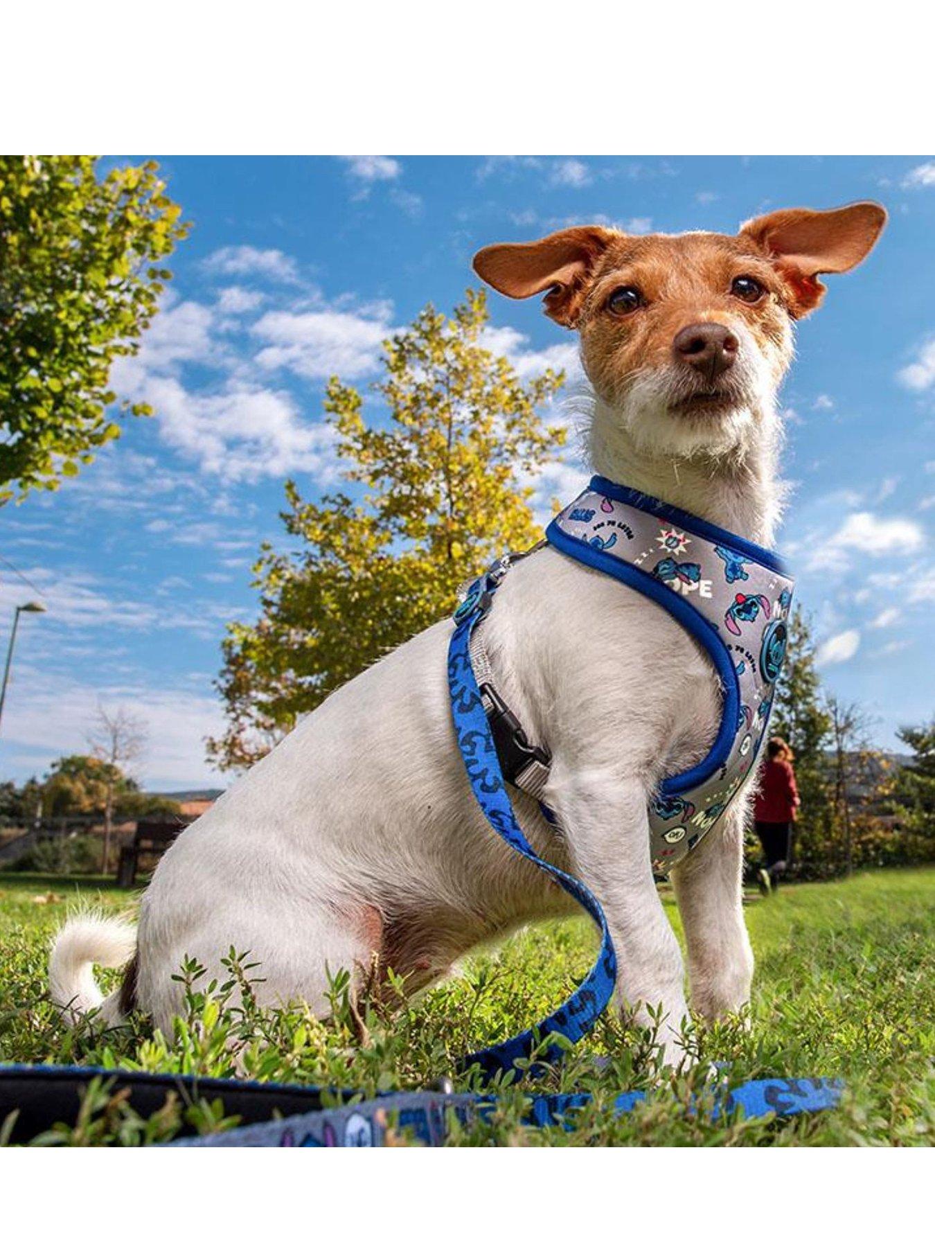 Image 2 of 3 of Disney Stitch Stitch Dog Harness