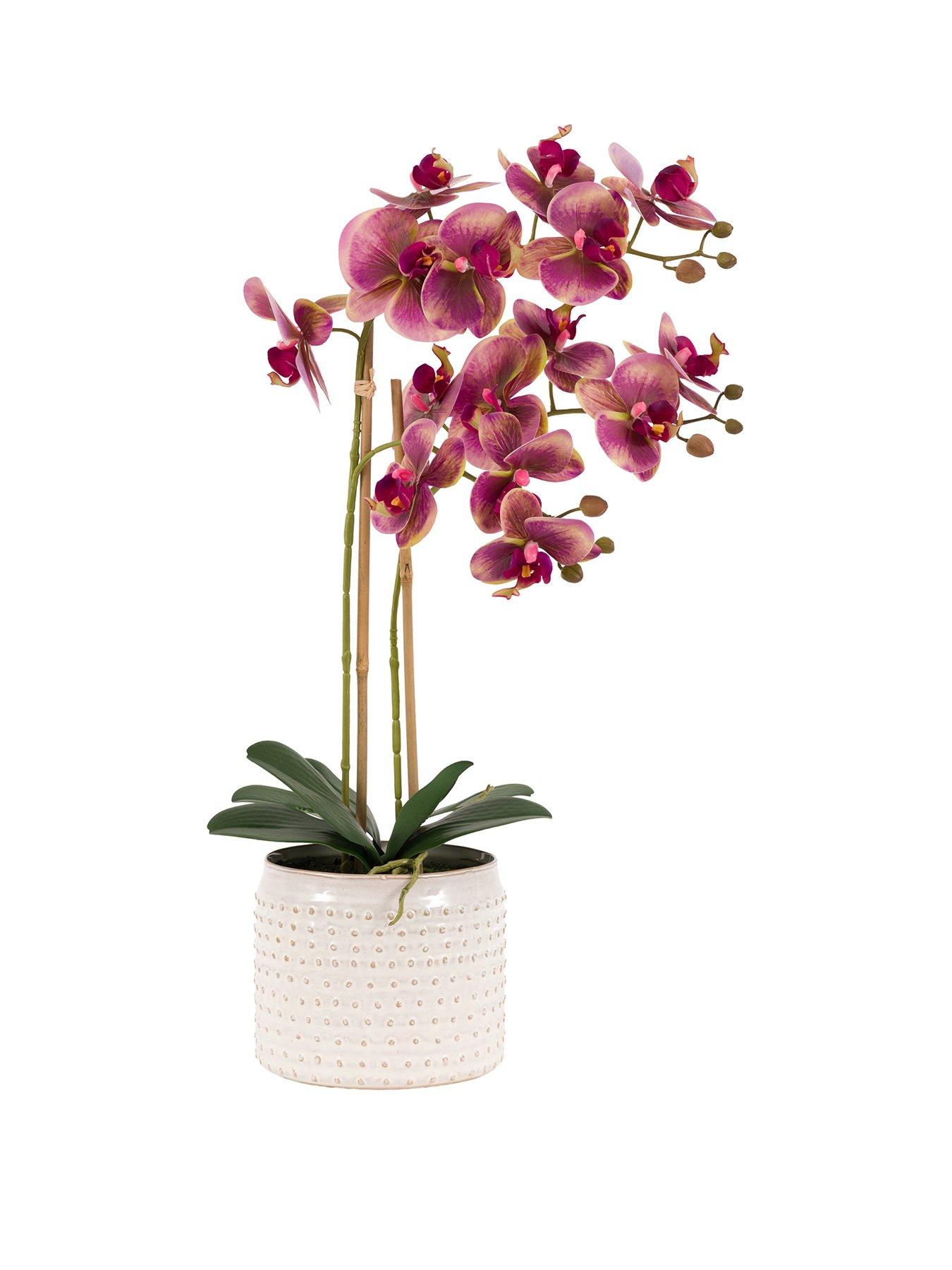  image of gallery-direct-willow-stems-in-ceramic-vase